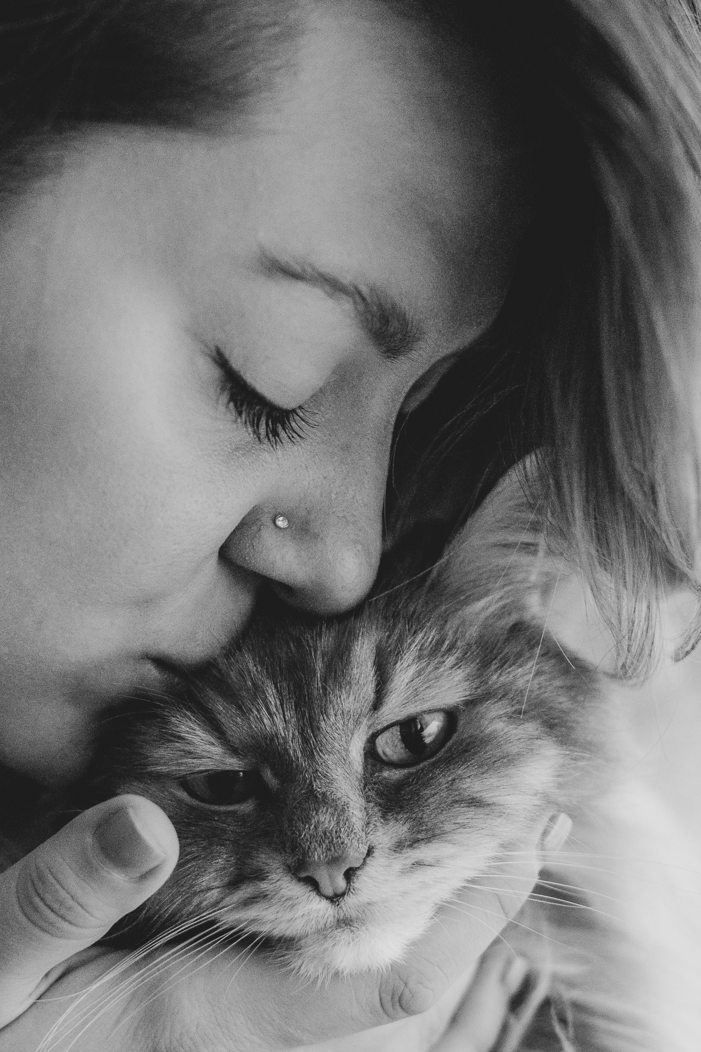 Vika & Kot. Natalia Finch Photography — Family, Kids & Pet Photographer in Chicago, IL