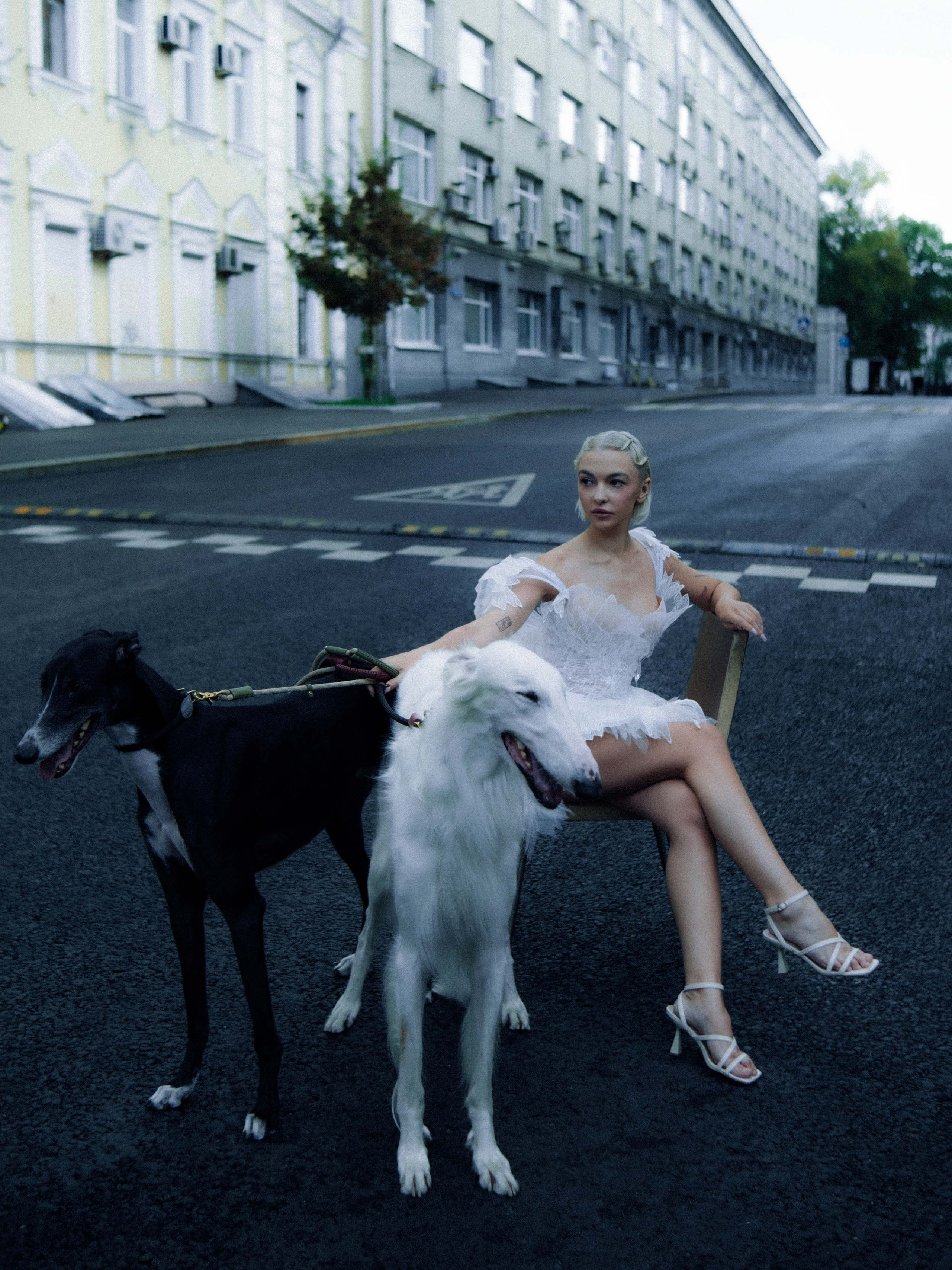 Dogbar. Dariaegudina.ru