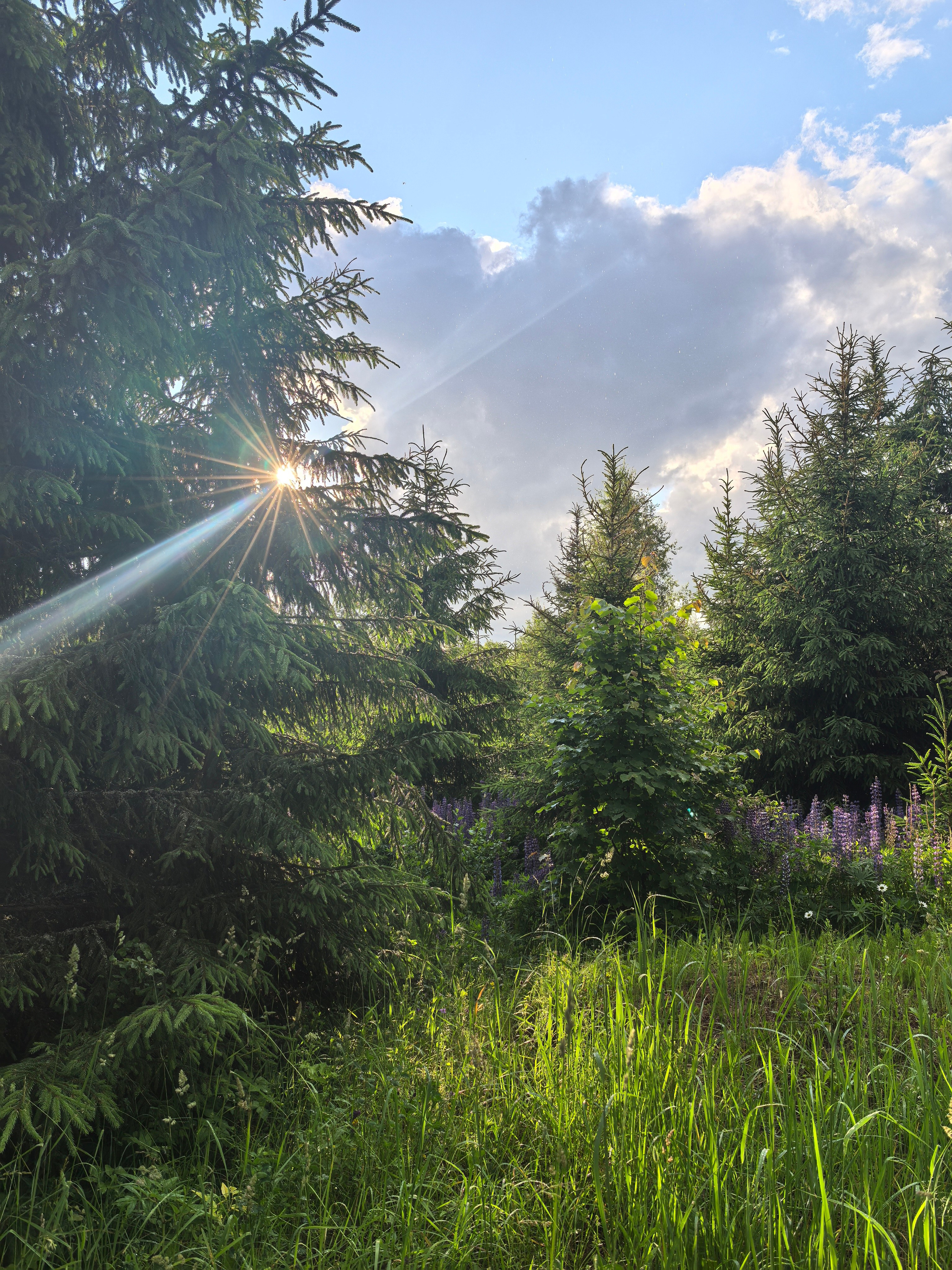 Чудесная природа. Школьные выпускные альбомы в Москве Марина Николаева