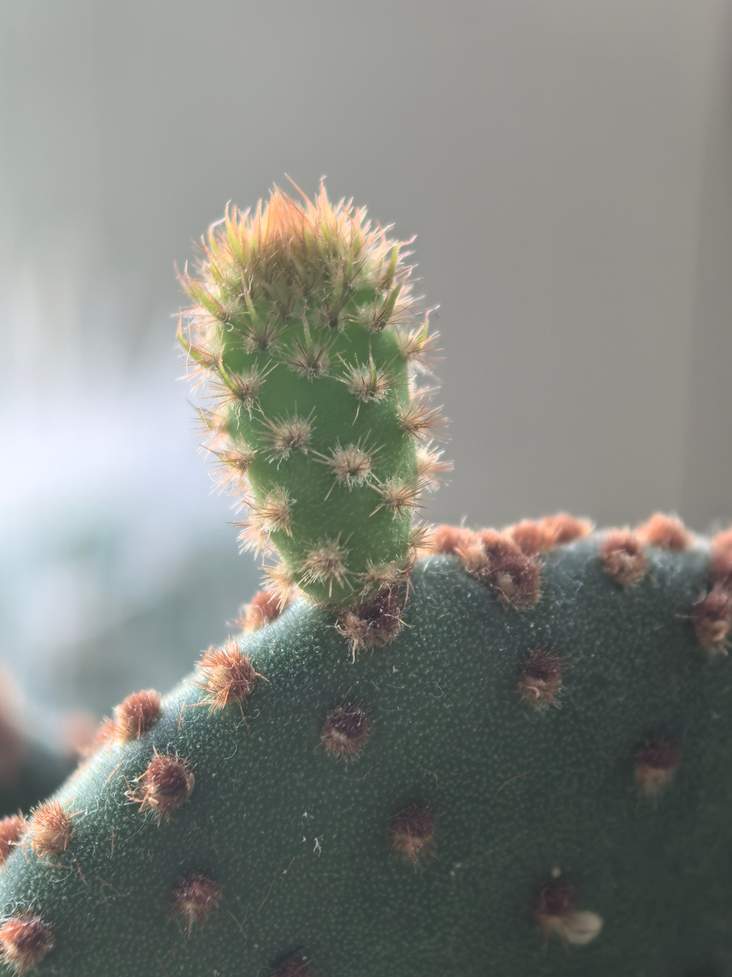 ПочтиМАКРО. Школьные выпускные альбомы в Москве Марина Николаева