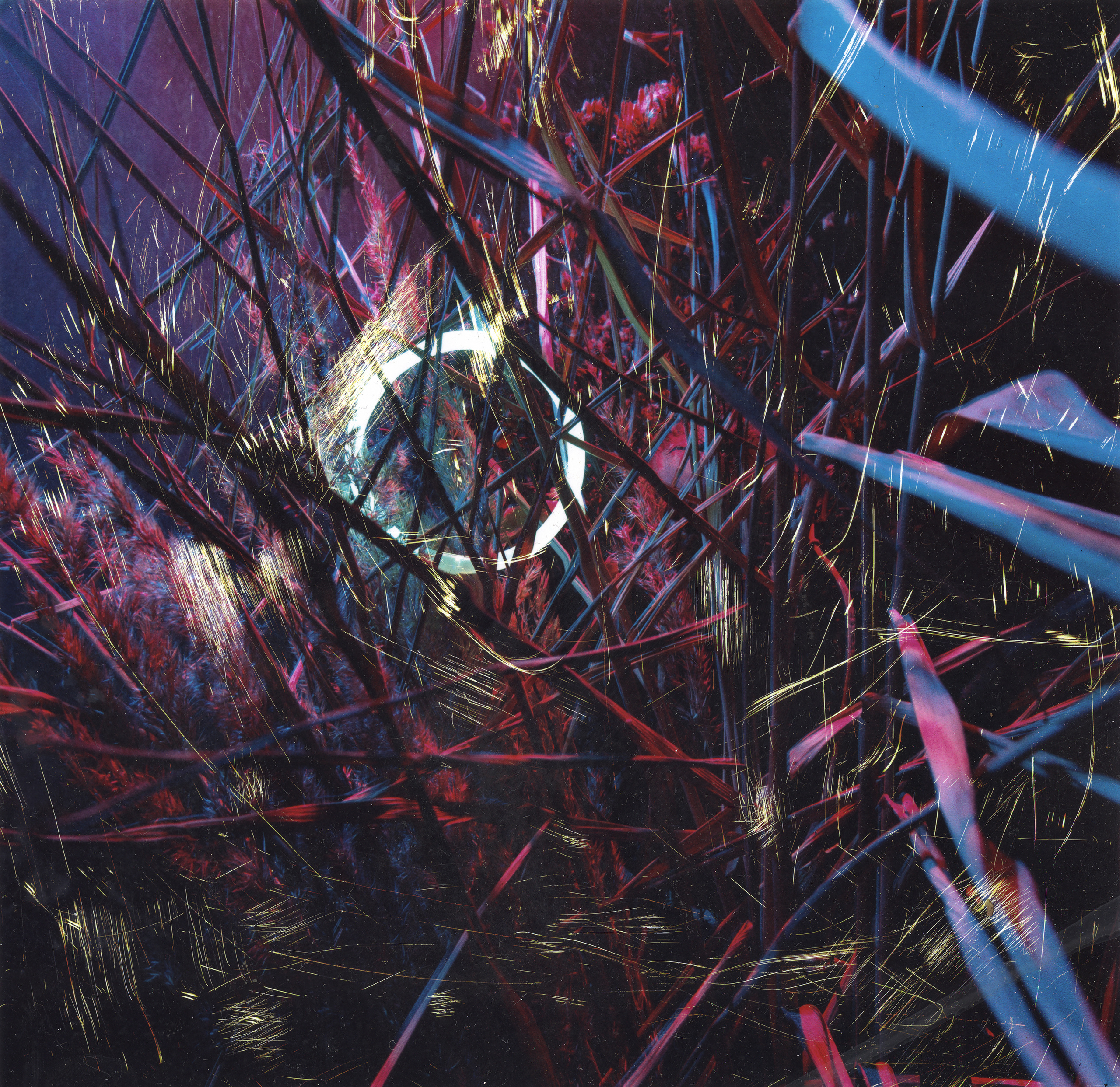 WOWOD YPRES KULTA VRANAC Kursha kashchey holy fawn