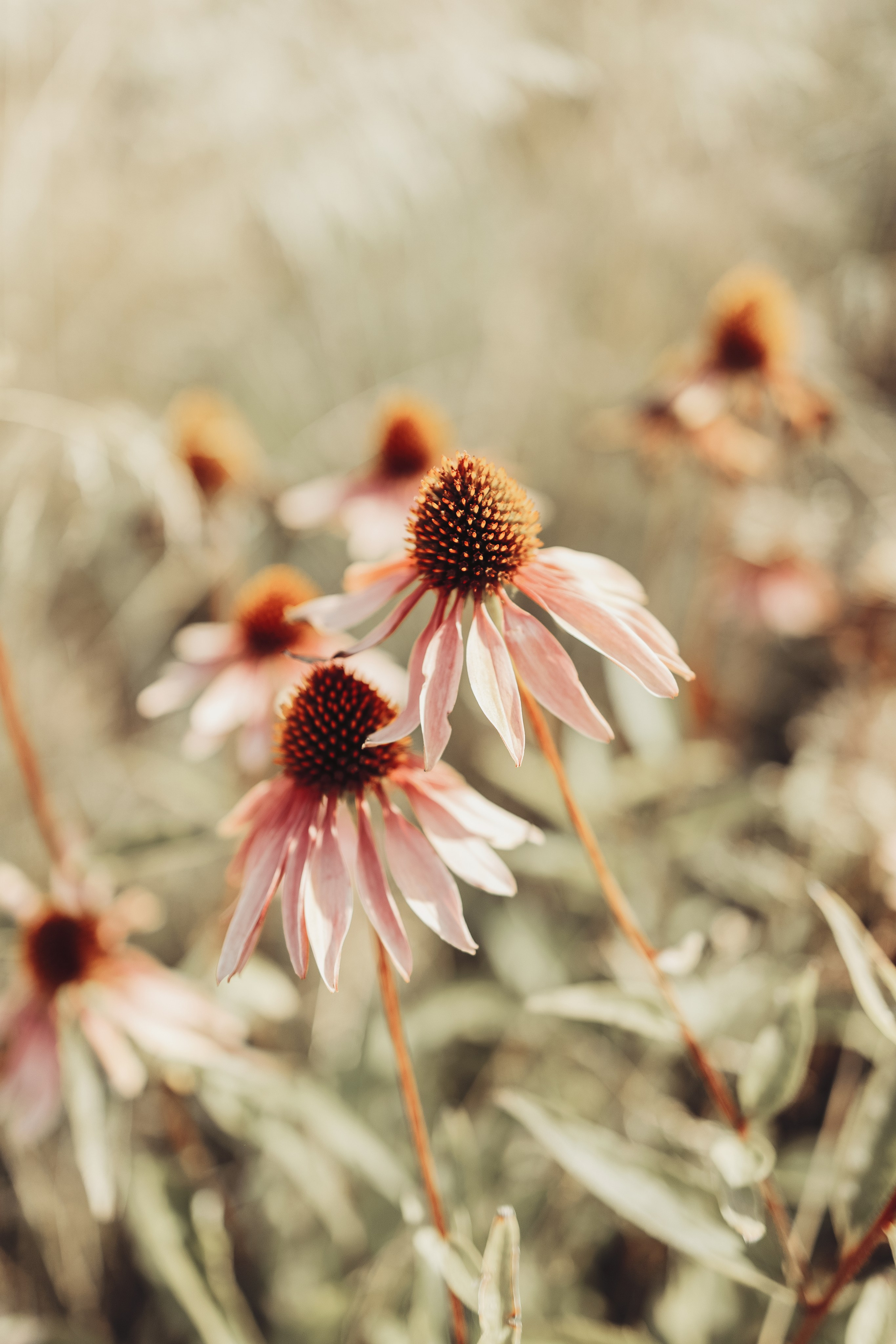 Street photo. Photographer in Turkey — Dari N
