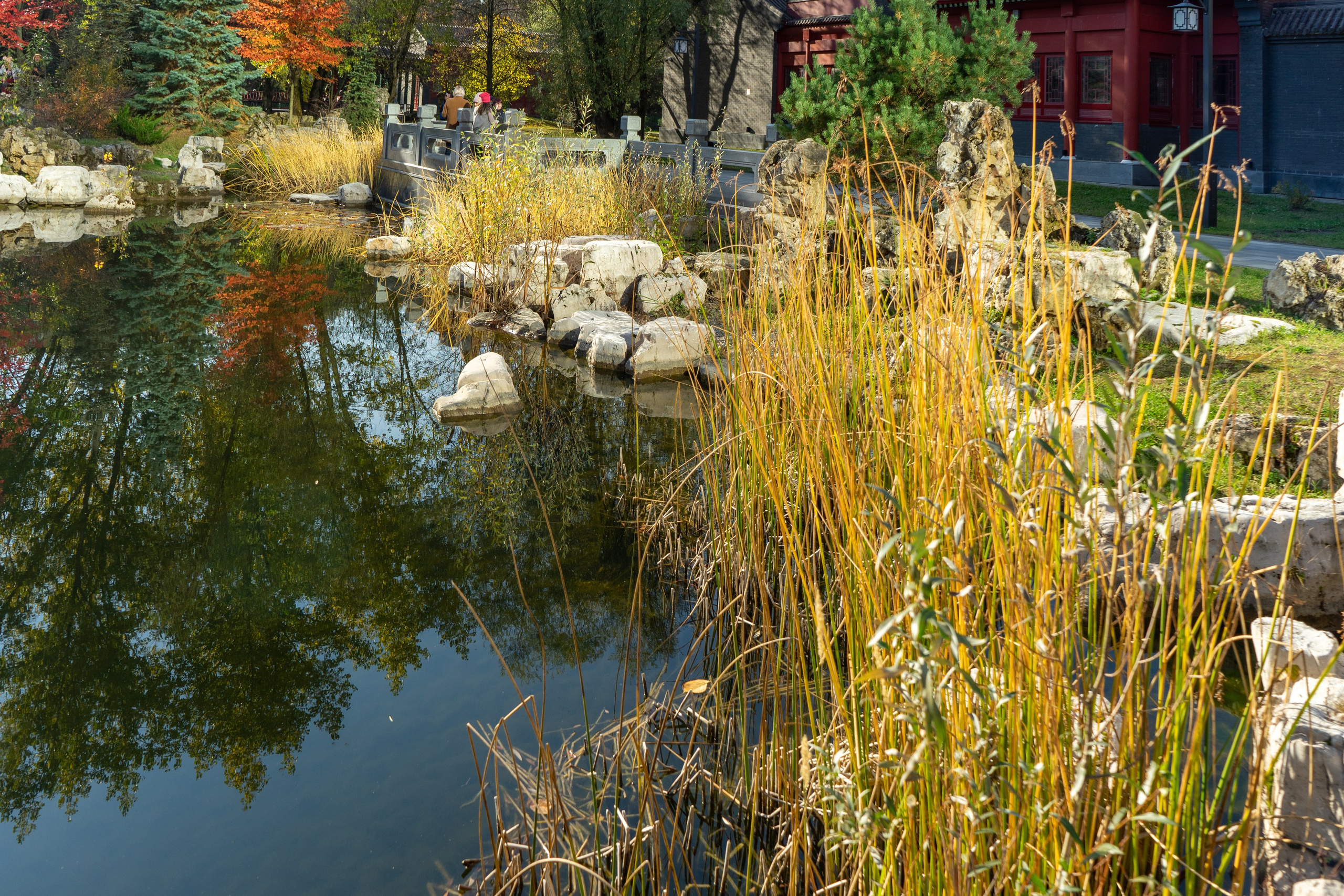 Осень, autumn, парк, деревья, лист, красный, желтый, зеленый. Авторские фотографии Чугунова Николая