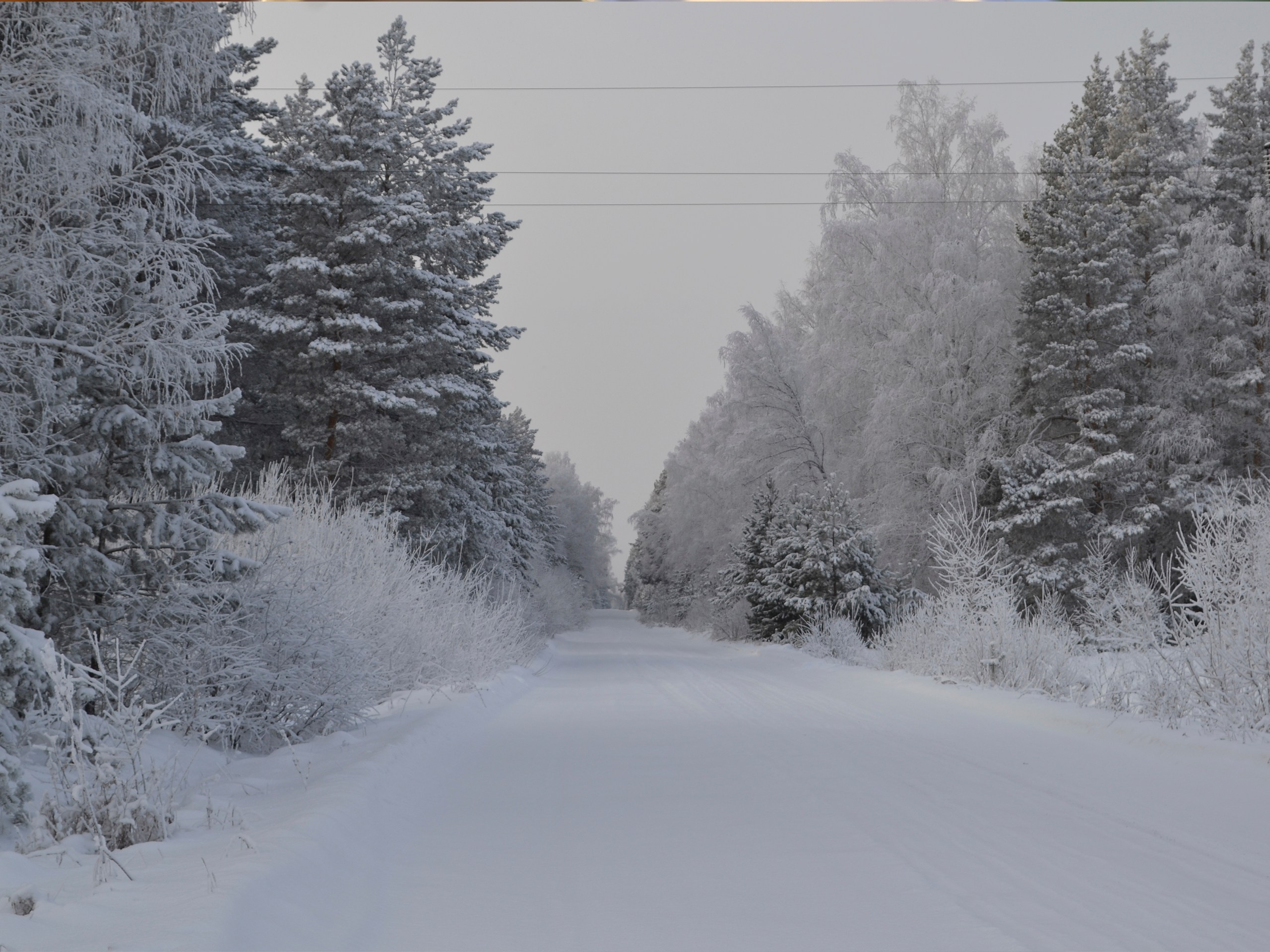 Фотограф | Видеограф в Кургане, Тюмени и Челябинске