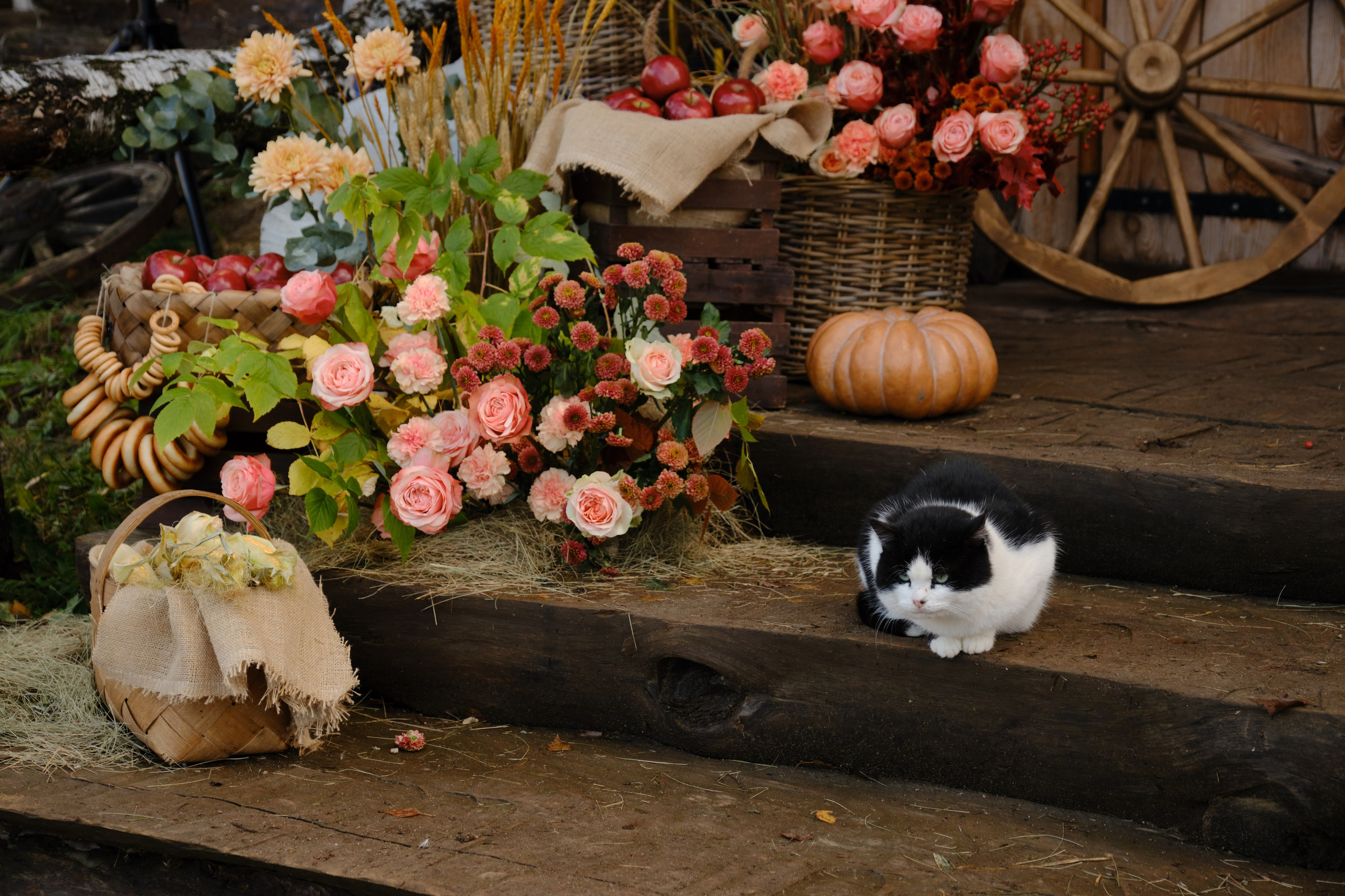 Андрей и Ольга. Фотограф Елена Маринина Москва
