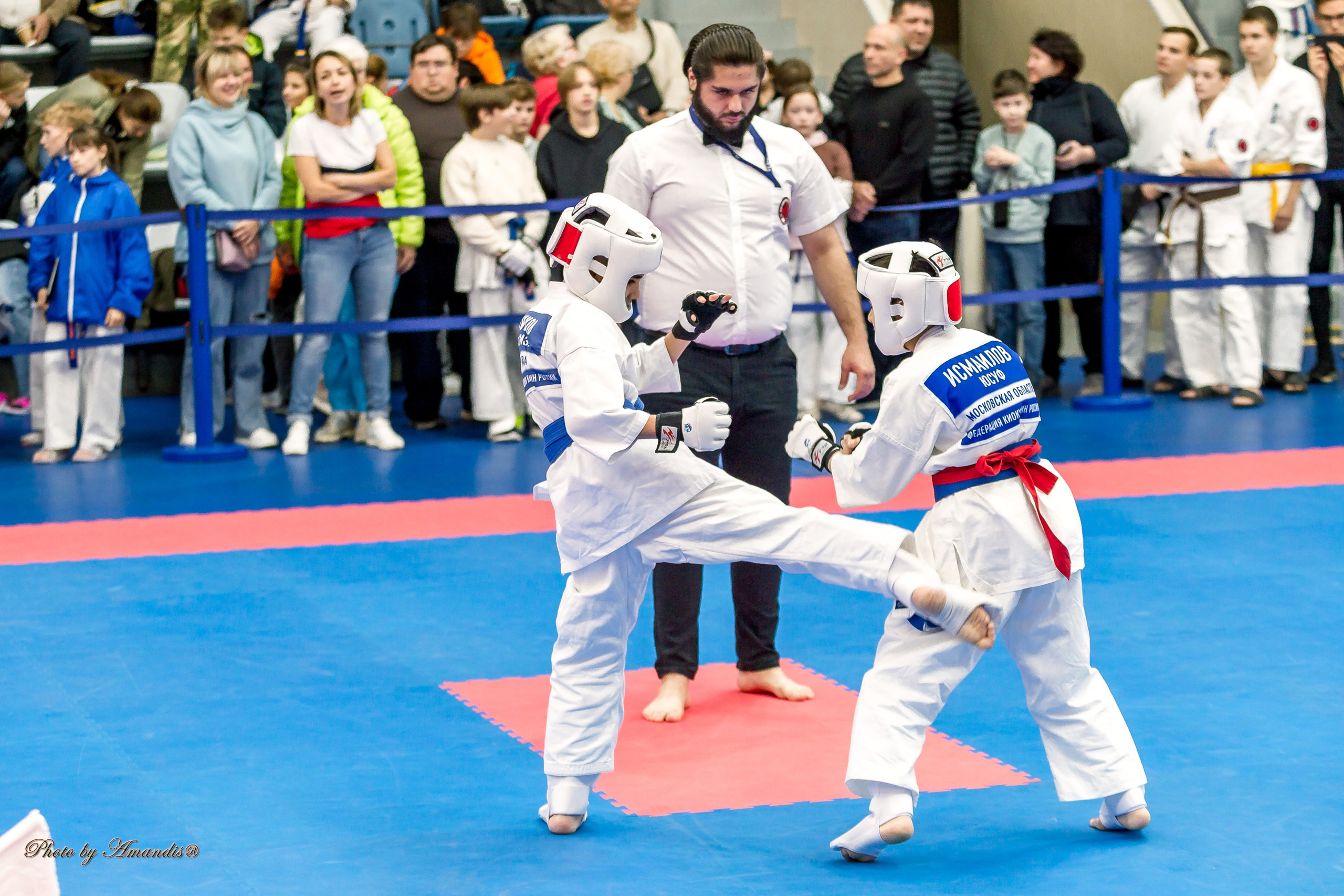 Чемпионат по Киокушинкай Центрального Федерального округа. Репортажная съемка в Москве и области. Анималистика