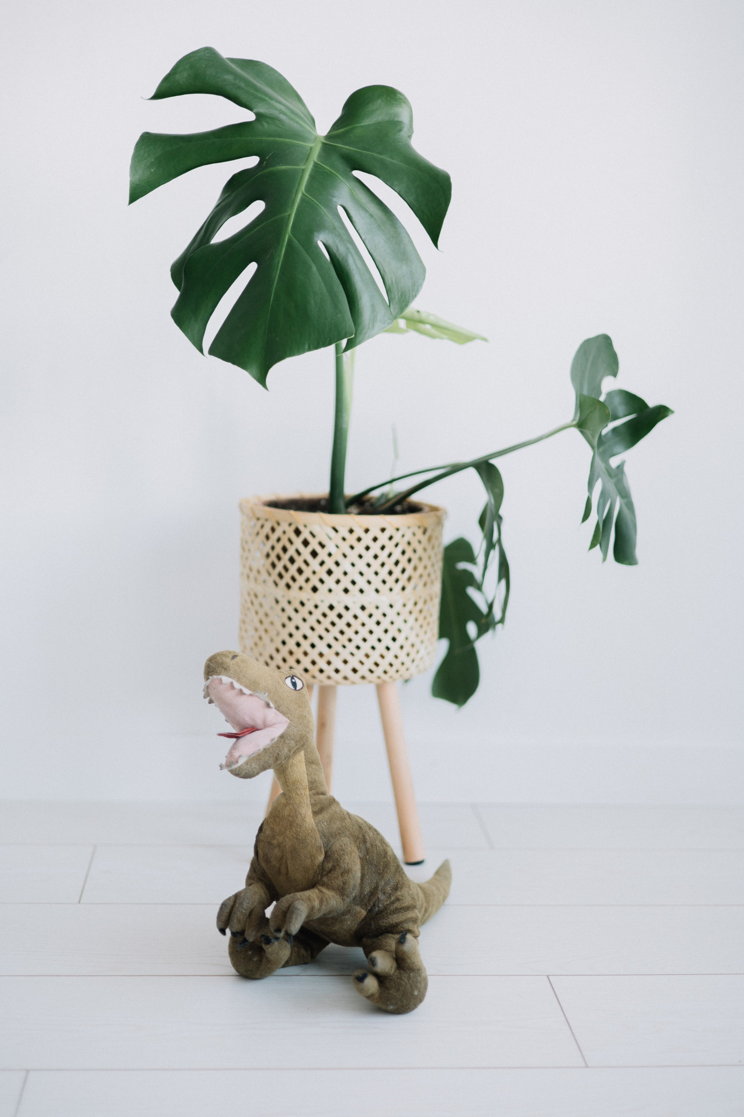 Семья Стасик