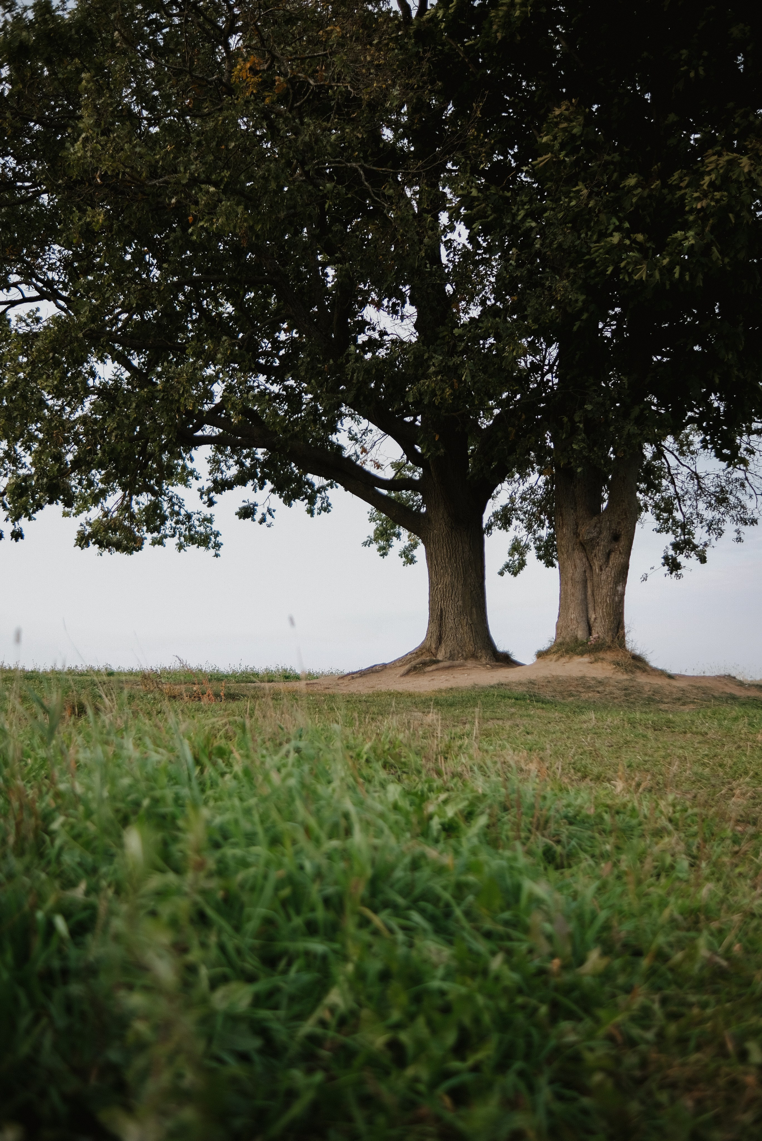 Альбом 11. Фотограф Катерина Мартьянова Санкт-Петербург