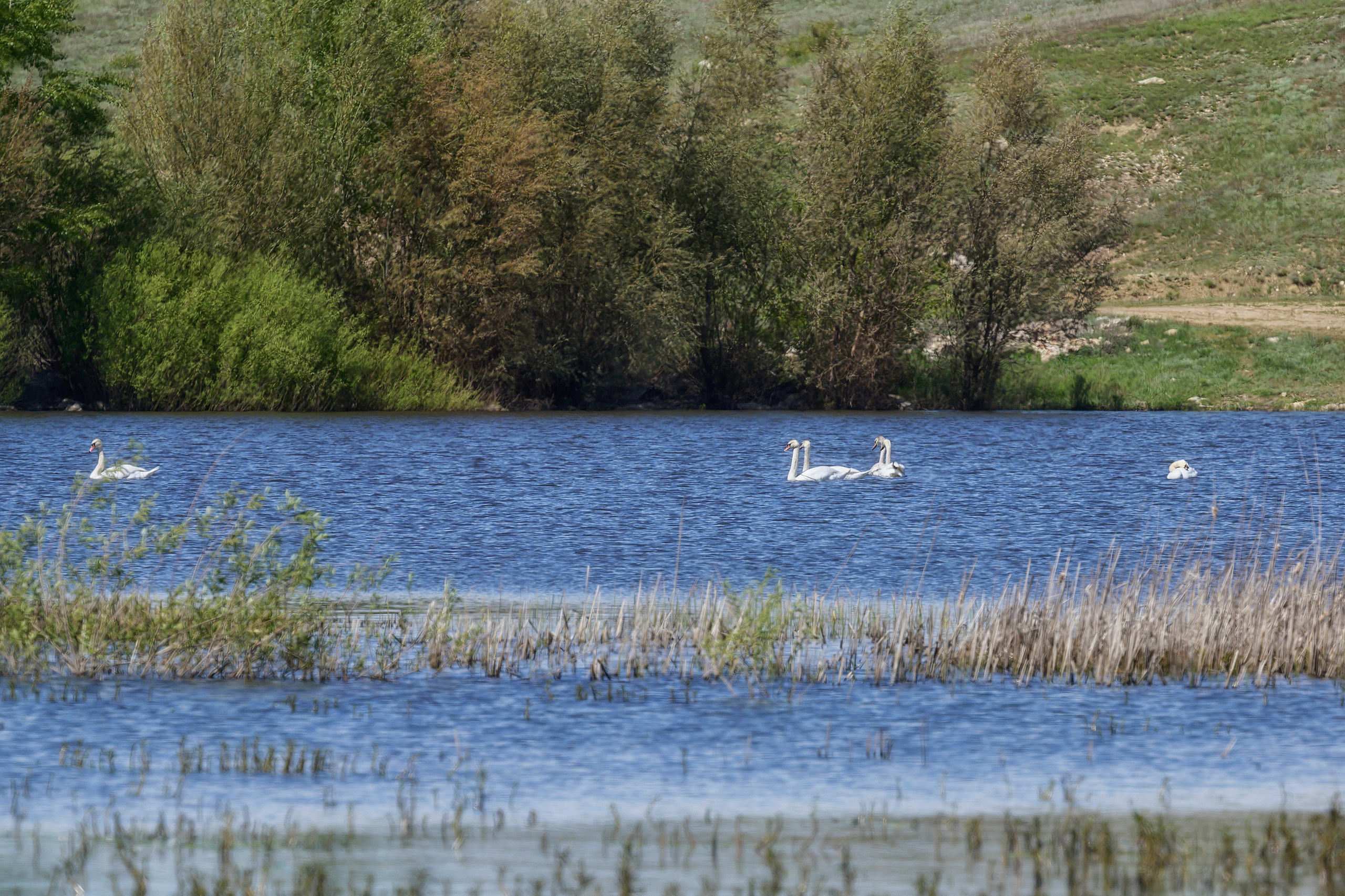 Оренбуржье. Портретный фотограф в Челябинске Катерина Руди