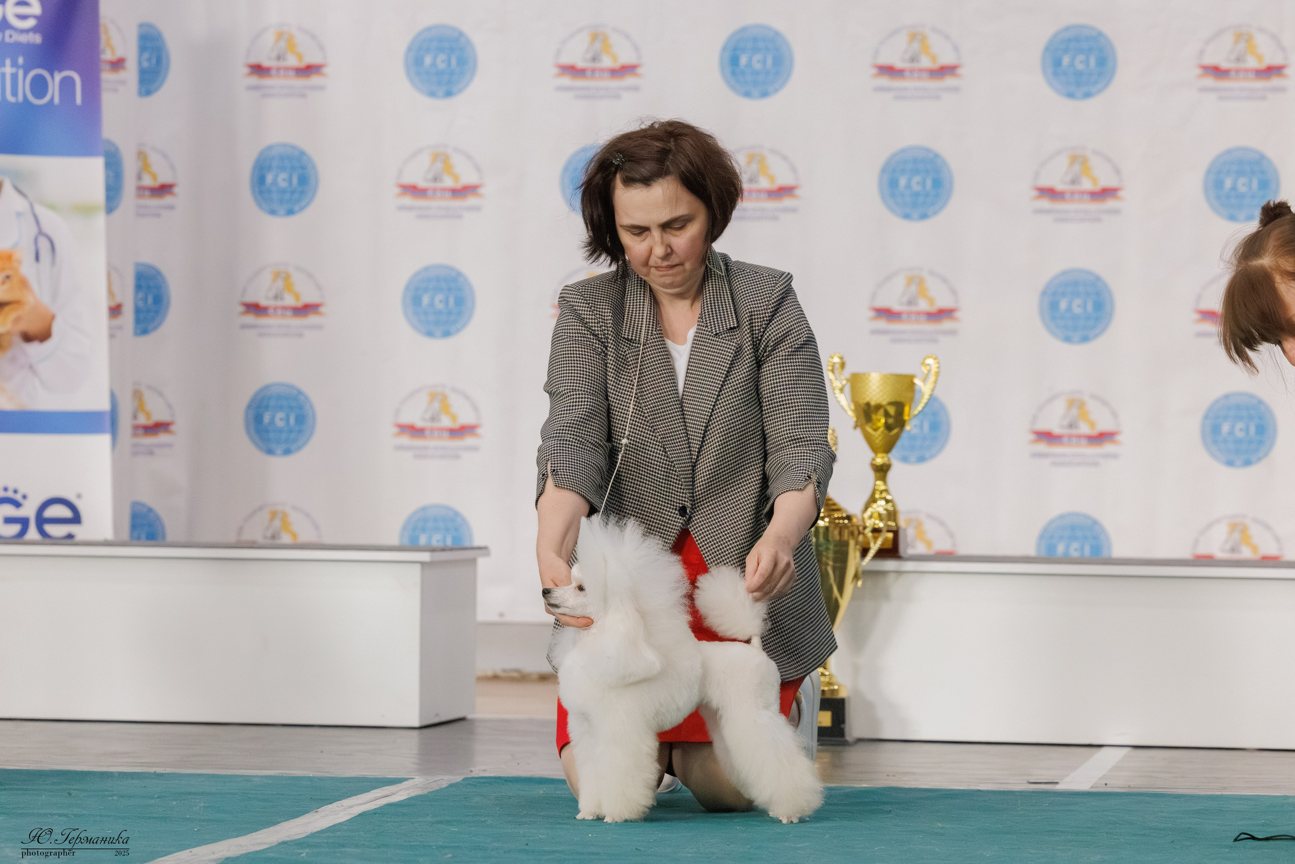 Ереван 2х CACIB 29-30.04.2025. Фотограф-анималист Юлия Германика