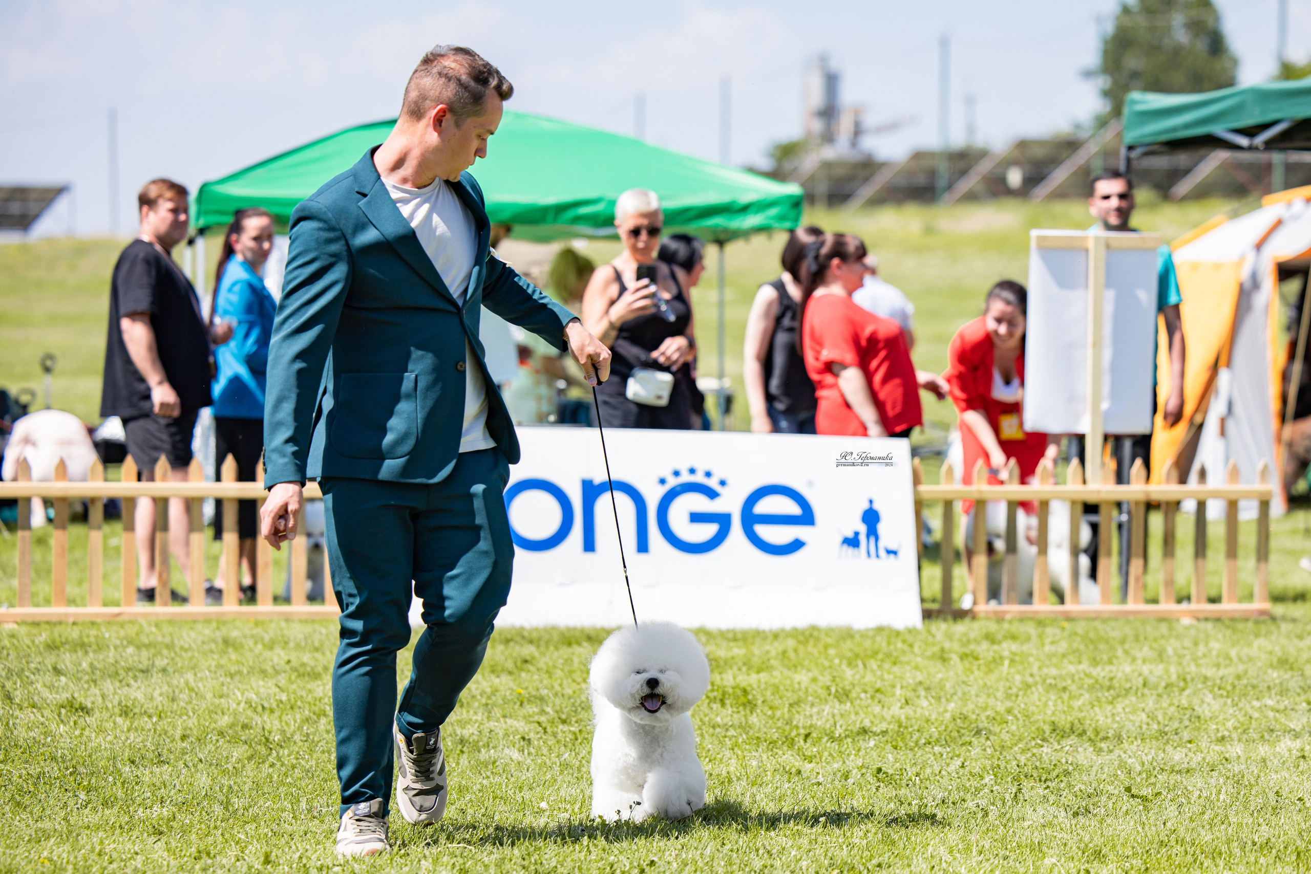 Ереван 3-5.06.2024. Фотограф-анималист Юлия Германика