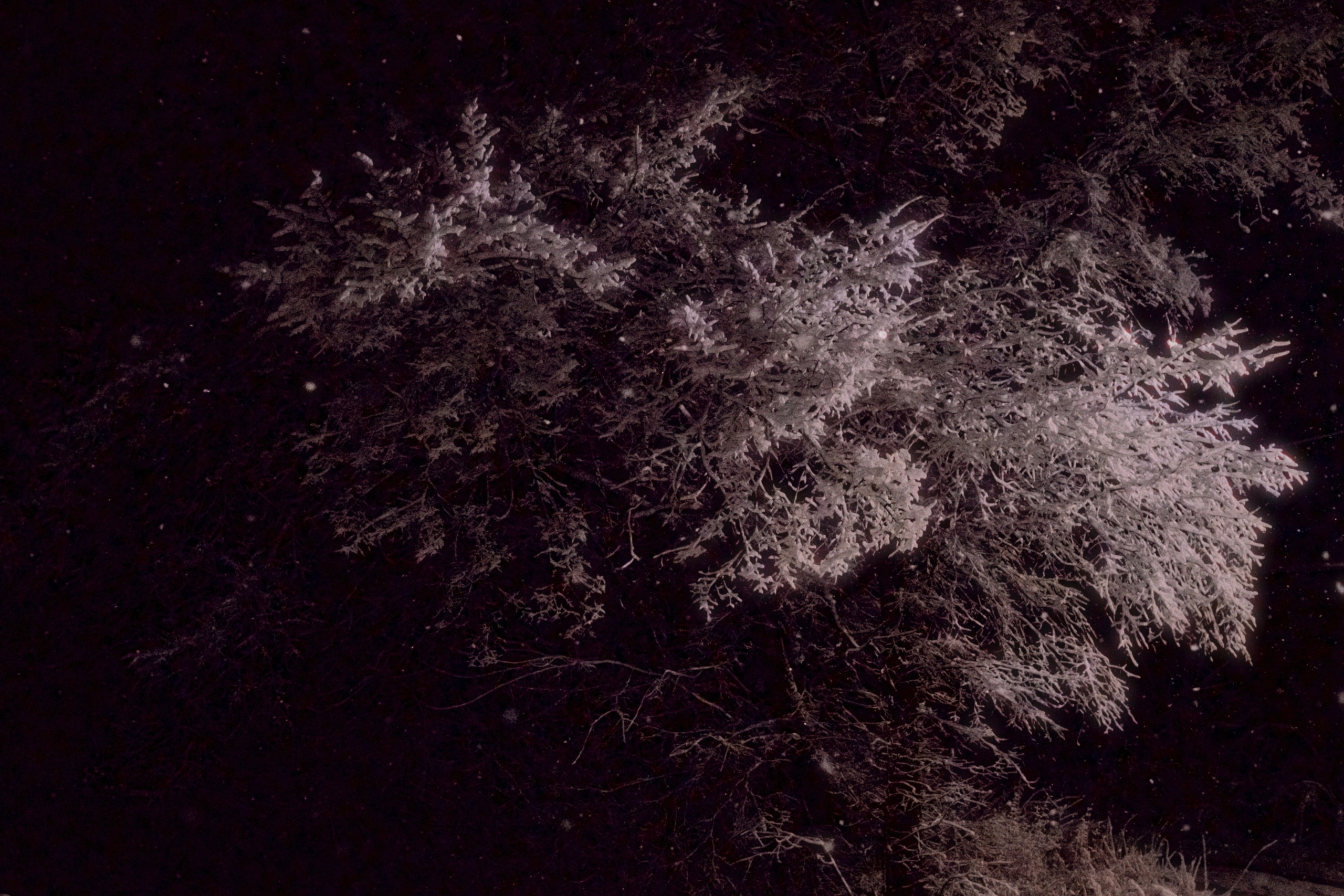 Пейзажи. Фотограф-любитель из Кирова Андрей Погребняк