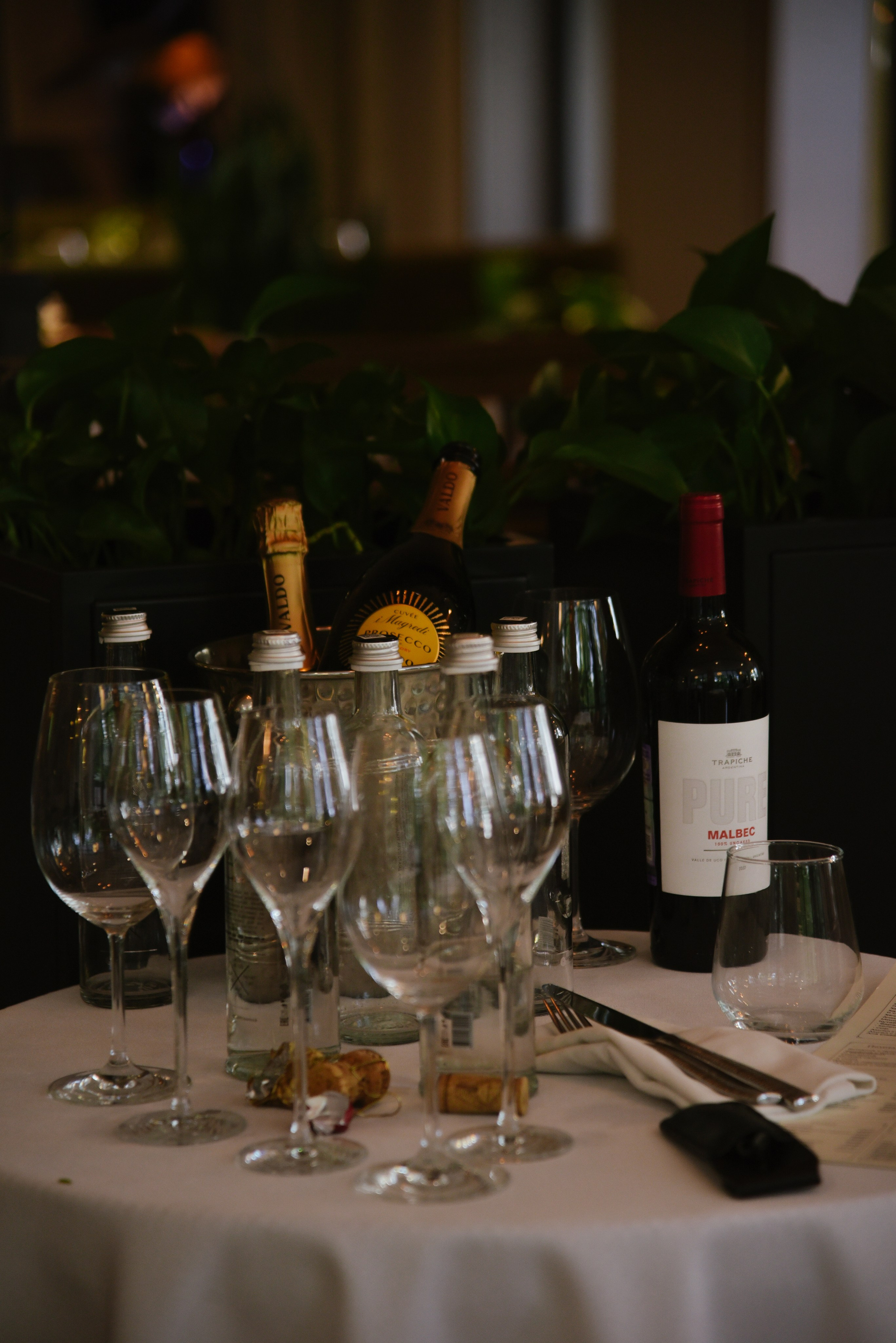 Марианна юбилей. Фотограф Лола Волна, город Москва