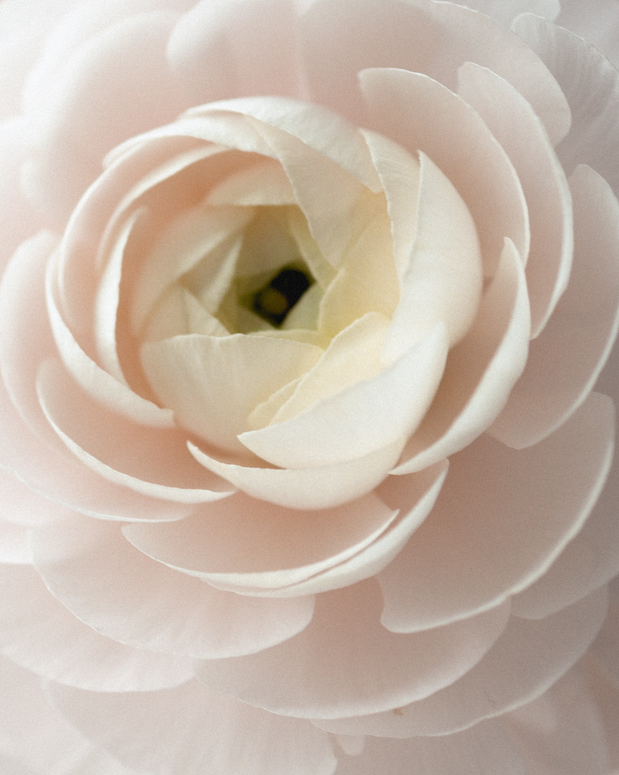 Айтадж. Портретный фотограф Дорошко Анастасия