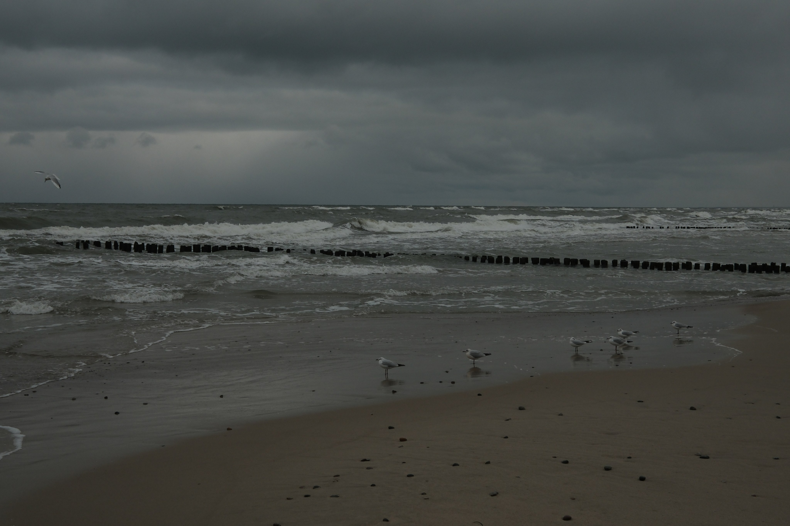 Зеленоградск. Калининградская область. Алексей Торопов фотограф