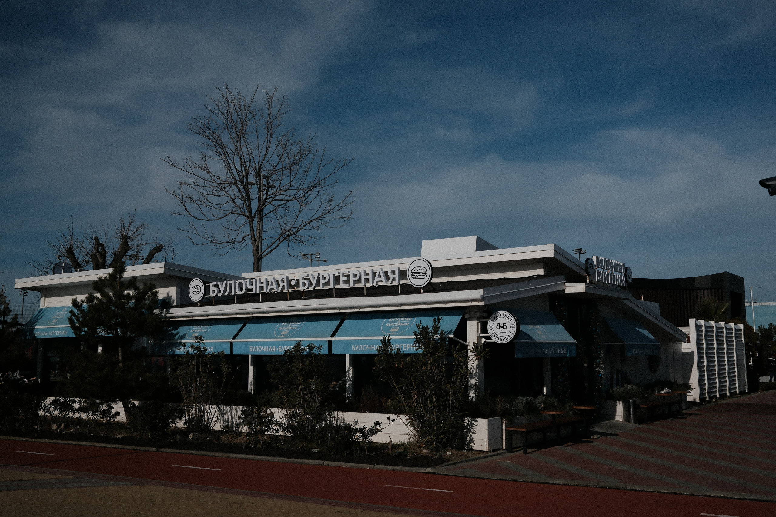 Фотографии зимнего Адлера. Алексей Торопов фотограф