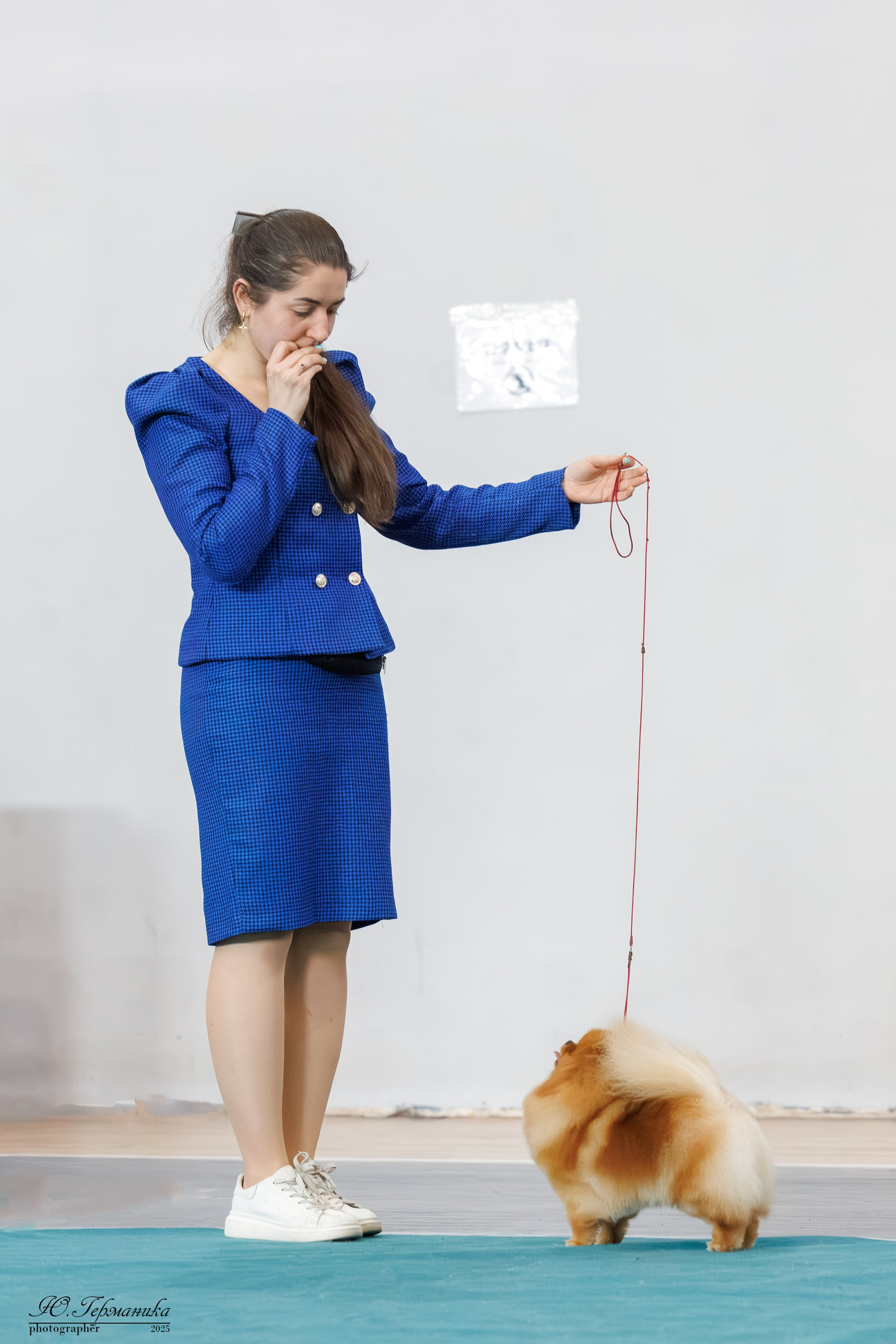 Ереван 2х CACIB 29-30.04.2025. Фотограф-анималист Юлия Германика