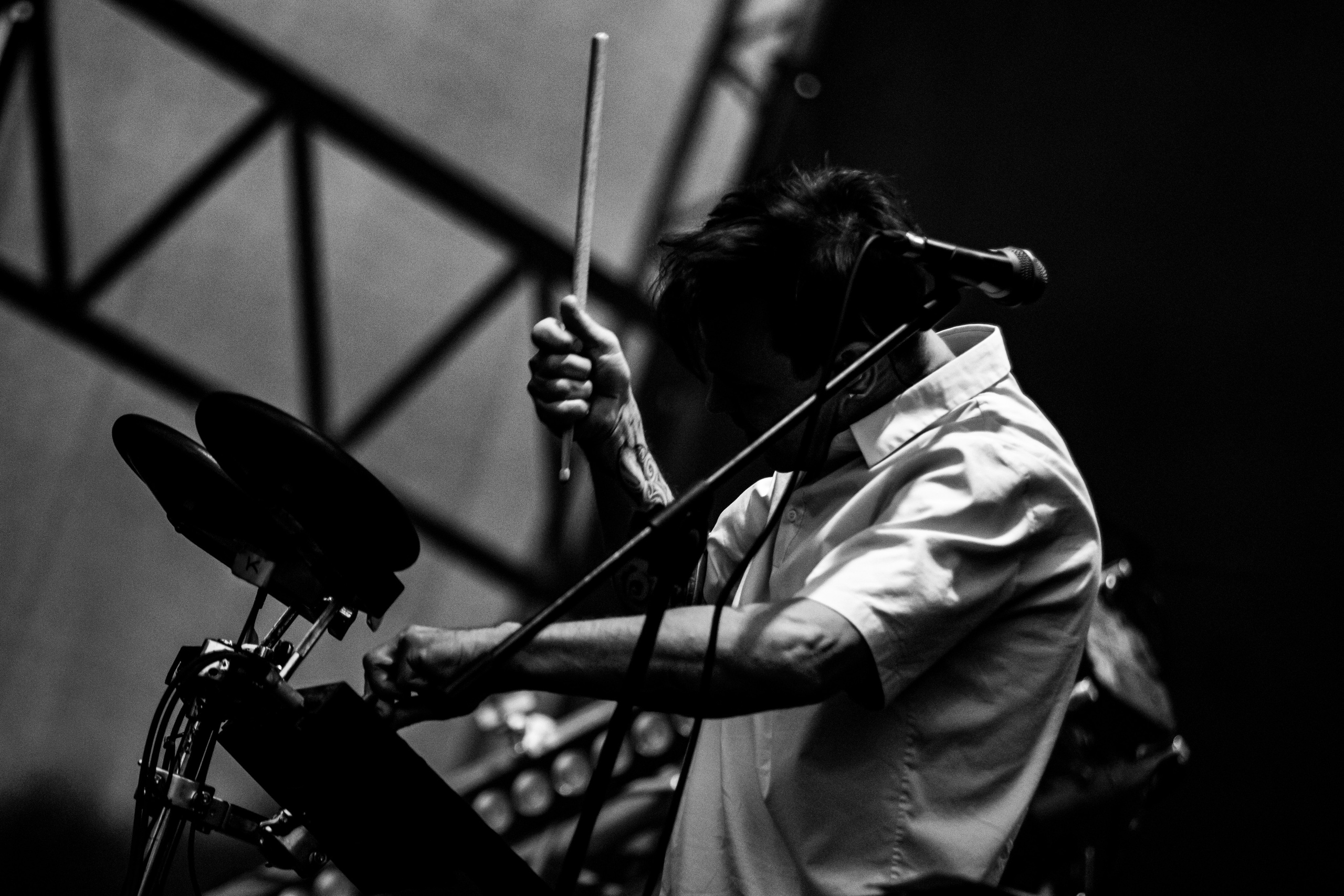 Дельфин | Red Summer. Концертный фотограф Михальченкова Алёна | Москва