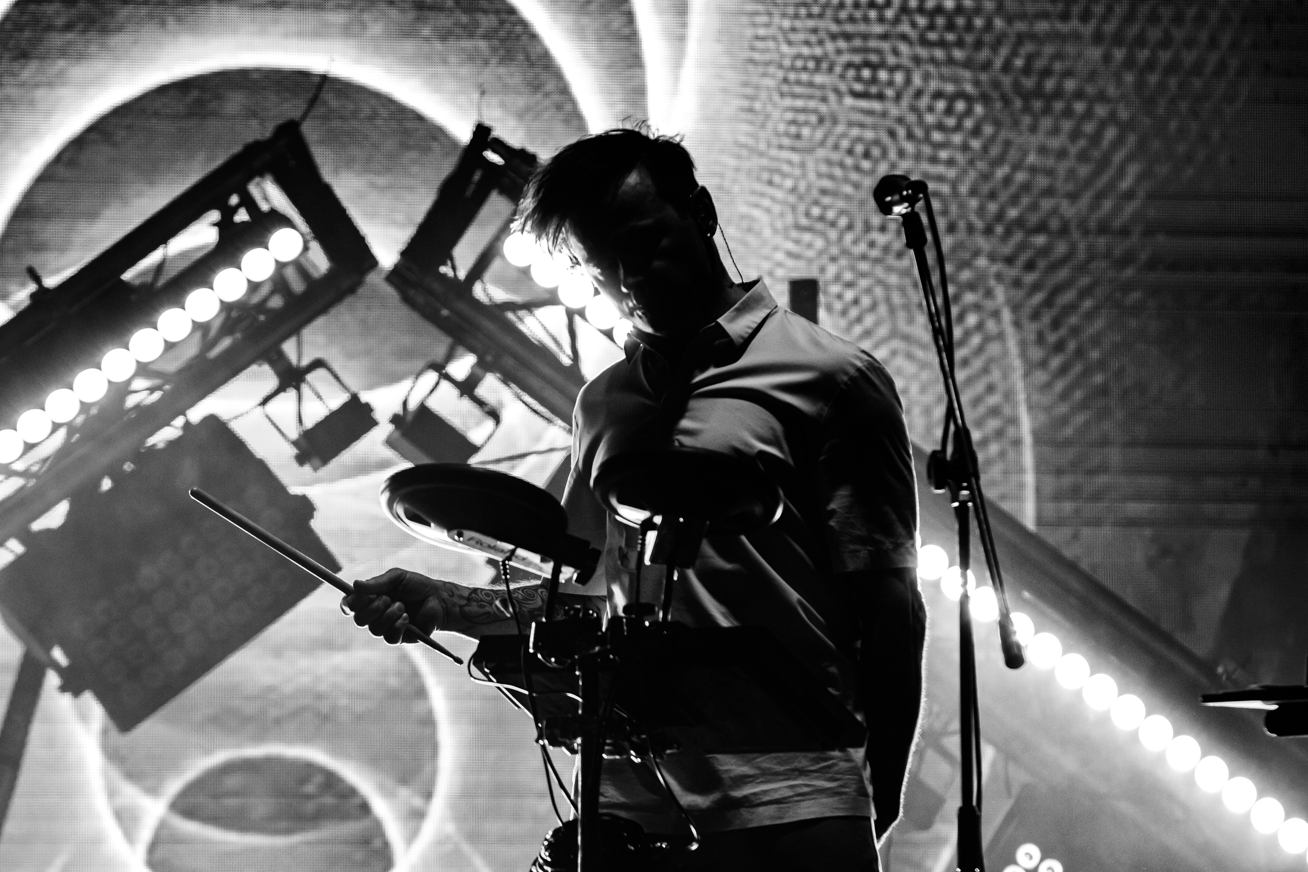 Дельфин | Red Summer. Концертный фотограф Михальченкова Алёна | Москва