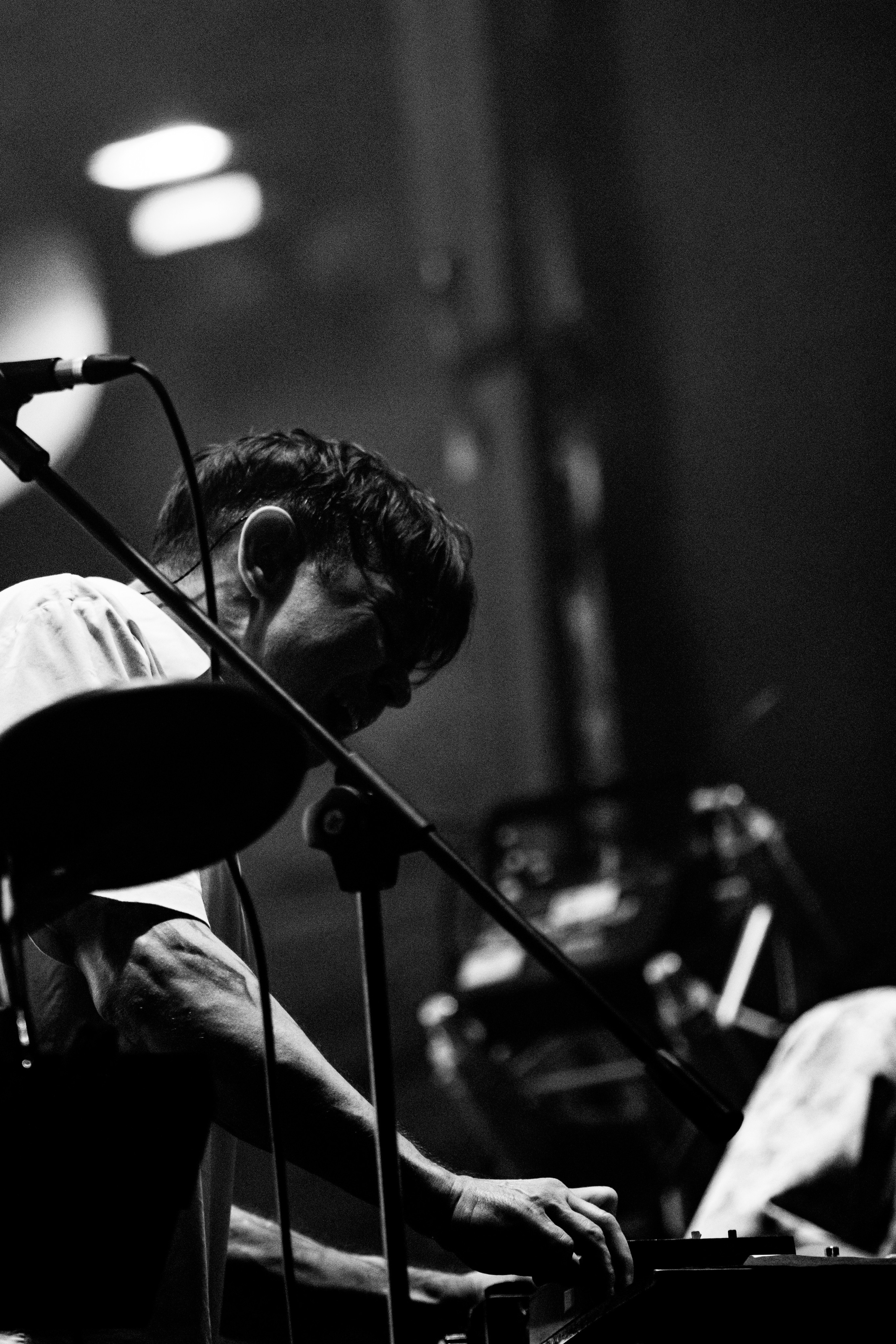 Дельфин | Red Summer. Концертный фотограф Михальченкова Алёна | Москва