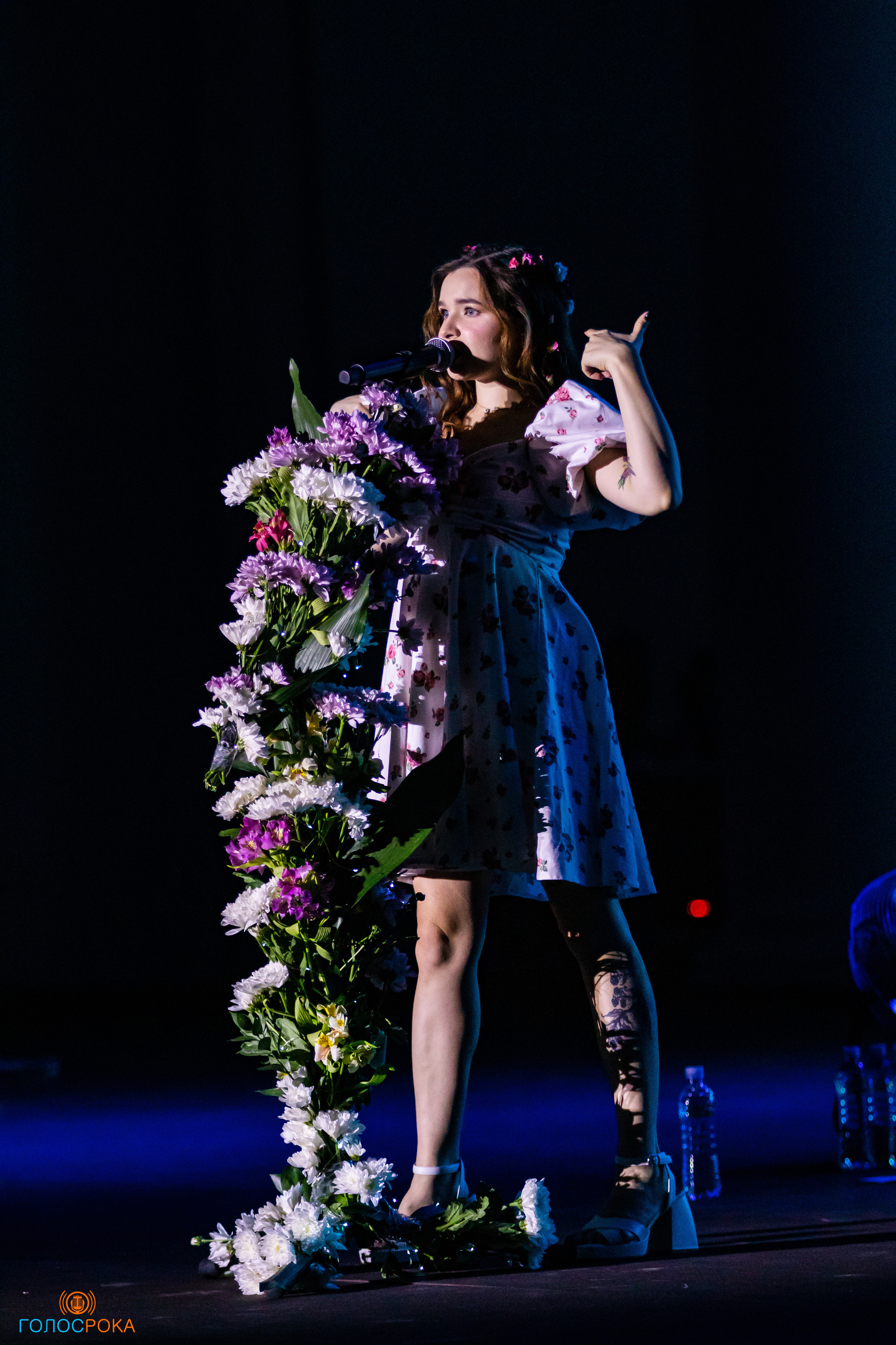 Алёна Швец | Зеленый театр ВДНХ. Концертный фотограф Михальченкова Алёна | Москва