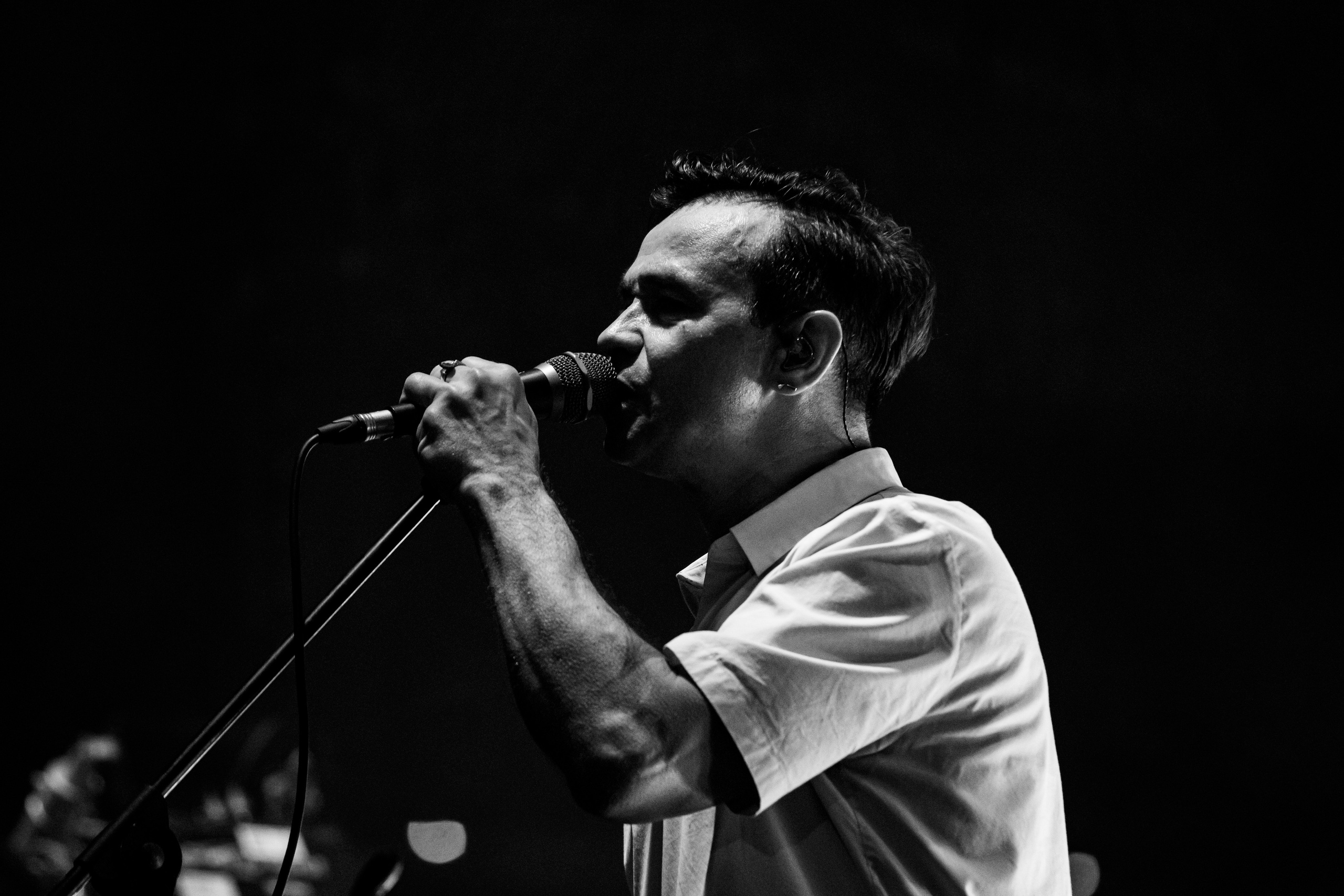 Дельфин | Red Summer. Концертный фотограф Михальченкова Алёна | Москва