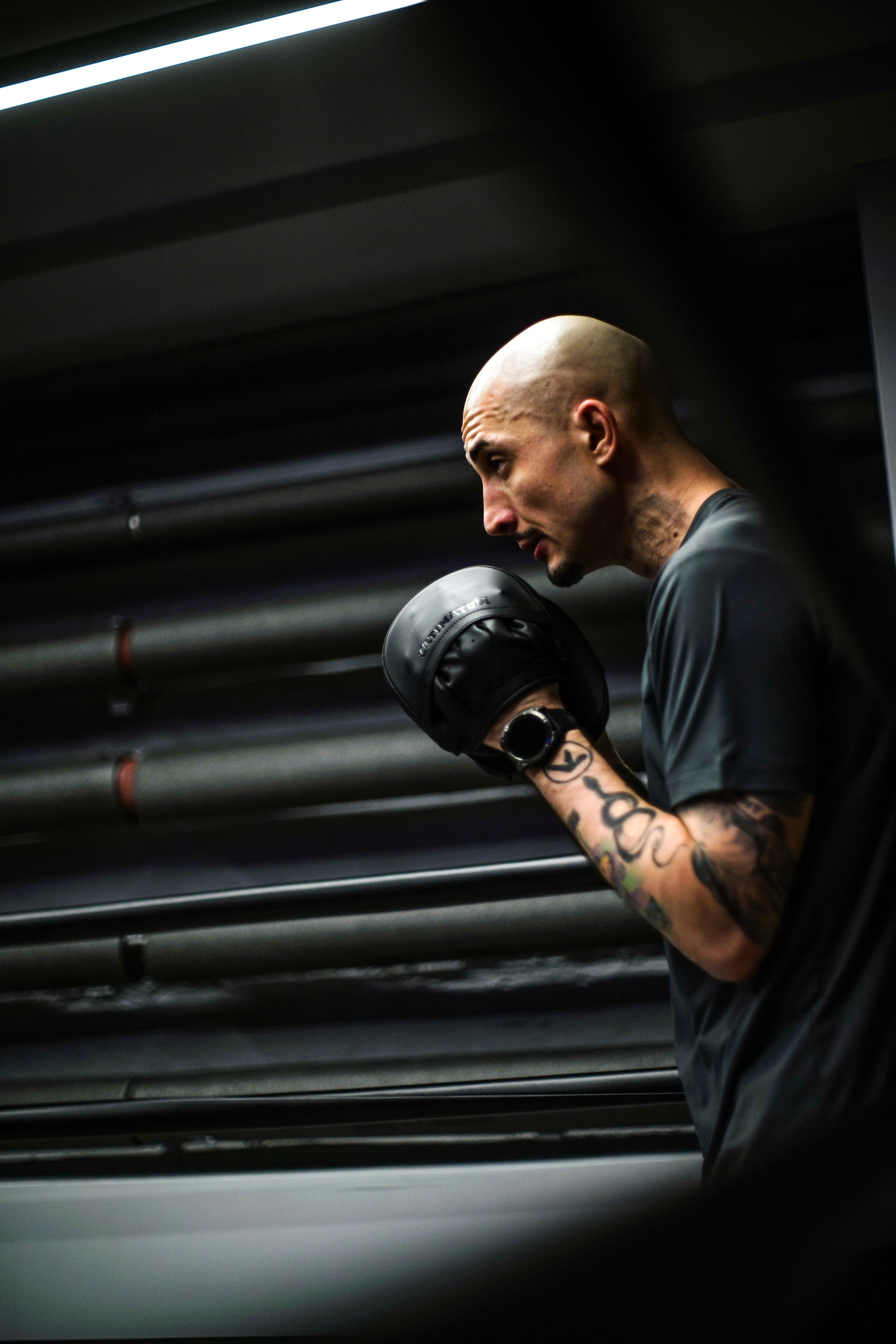 Ultimatum boxing. Not an artist, but photographer. Ivan birdman