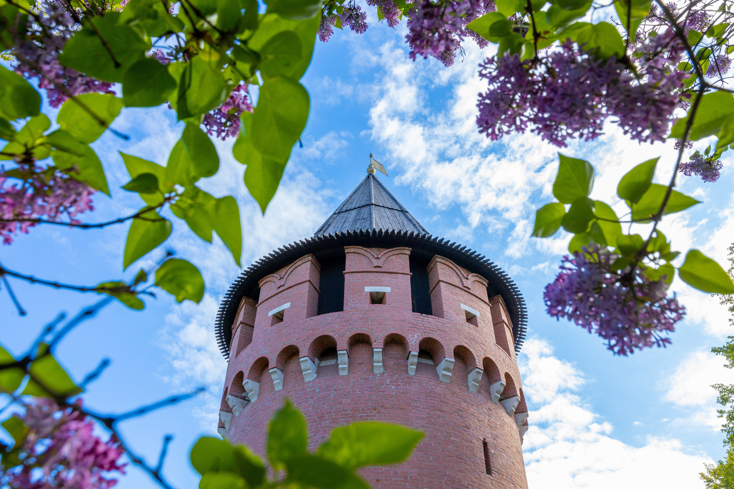 Весеннее цветение в Туле. Фотограф в Туле Крупский АнДРей. Фотостудия «КАДР71» в Туле