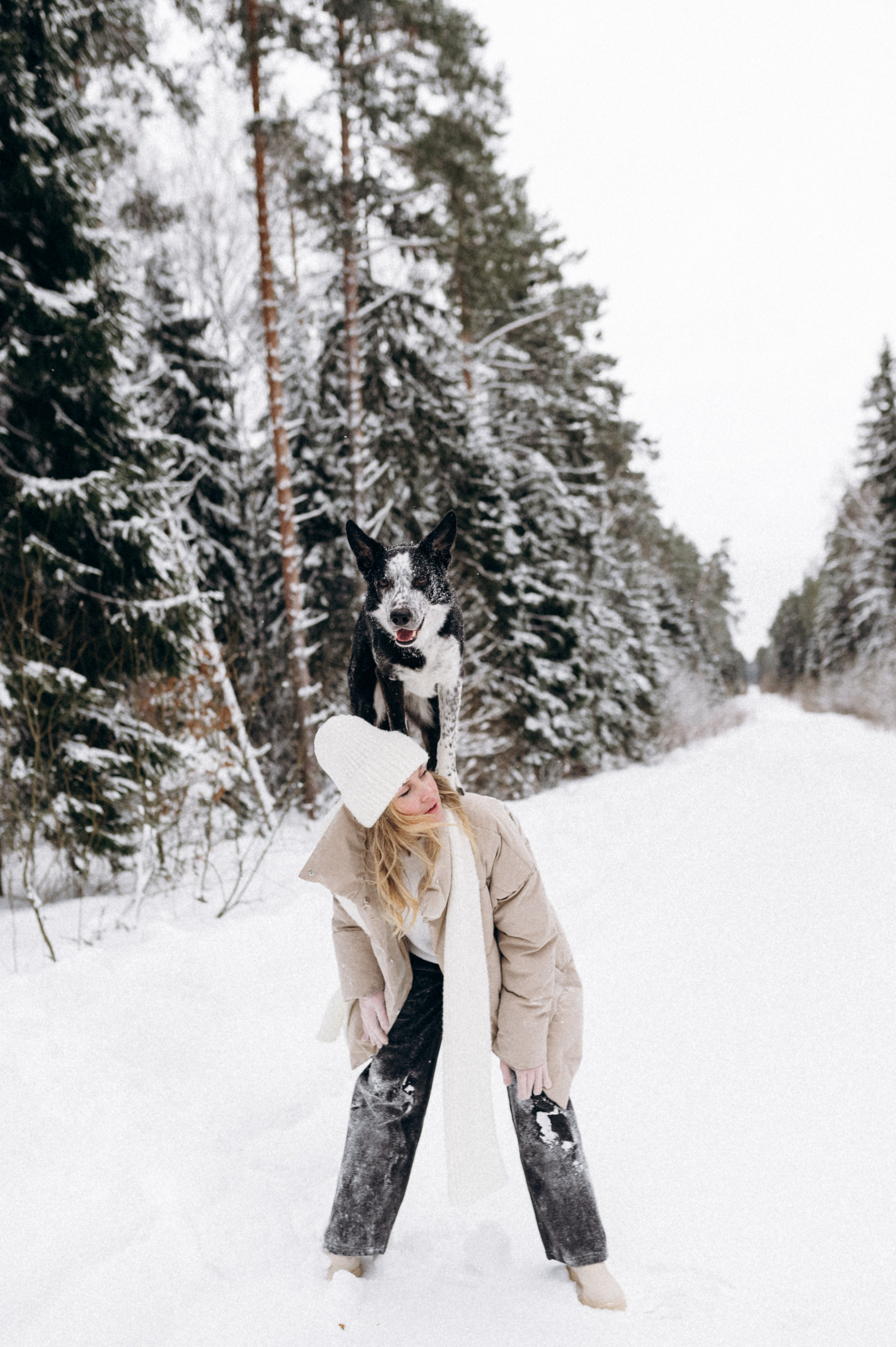 Аня и Милан. Фотограф анималист в Москве Ольга Агушева