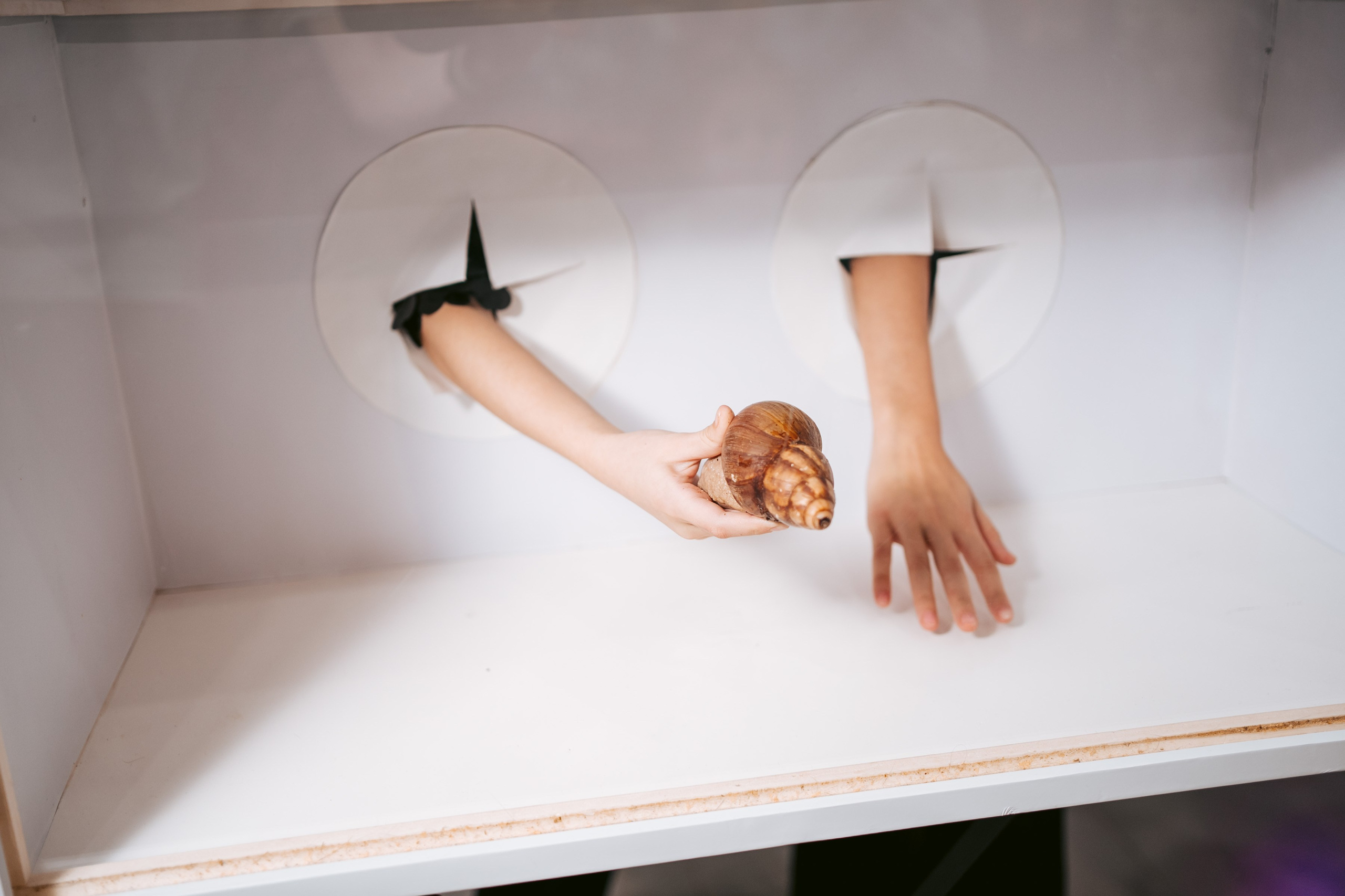 Артишок. Фотограф на любое событие в Кемерово