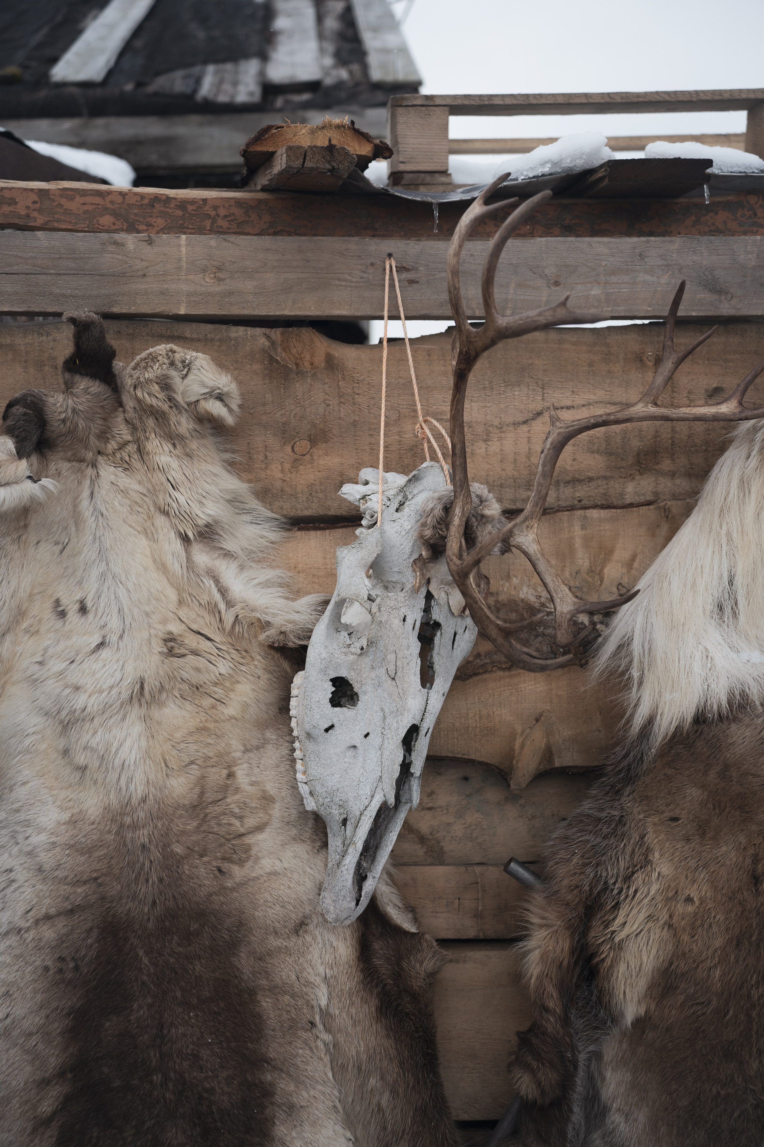 Териберка — репортаж тура Ковчег 51. Видеограф в Санкт-Петербурге Анастасия Коок