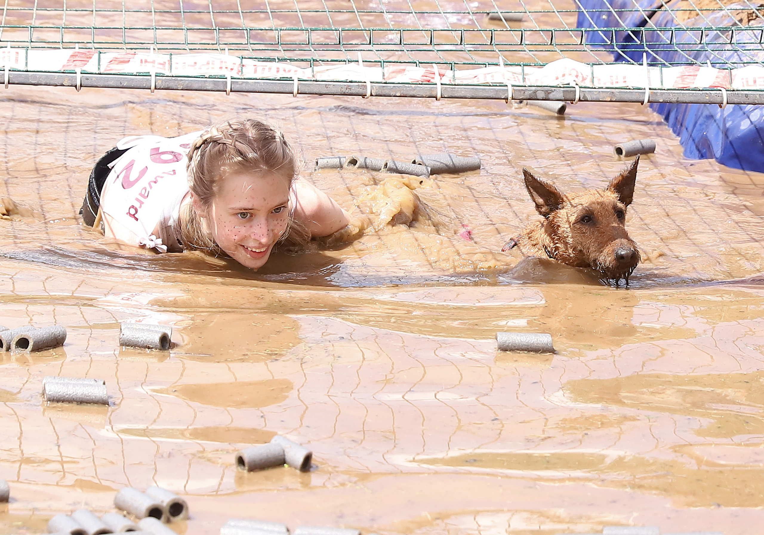 Хвостатый драйв. Семейный и детский фотограф в Москве и МО Елена Москвичева