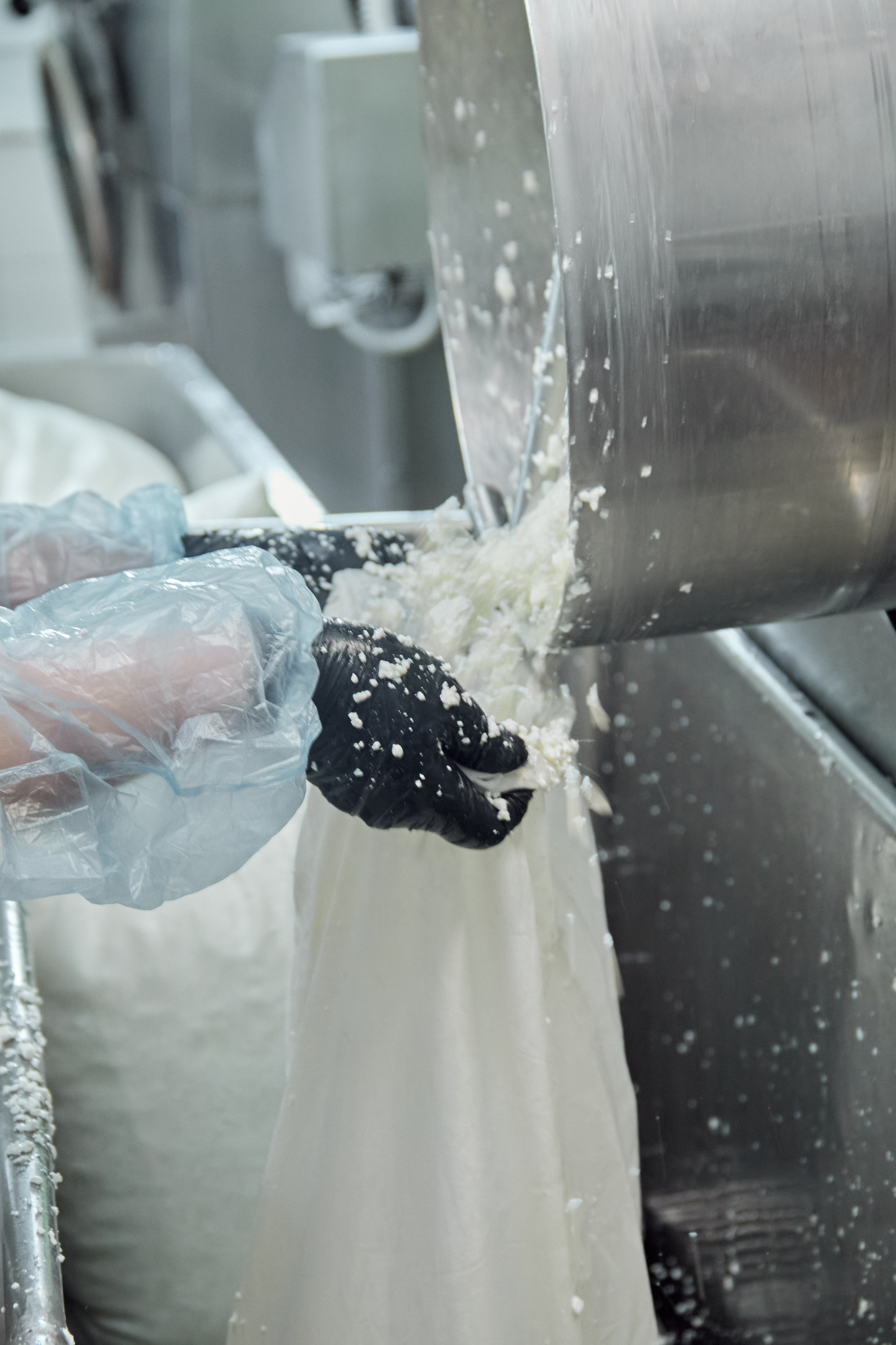 Экскурсия «Агроферма-Катынь». Фотограф в Смоленске Ася Польшина