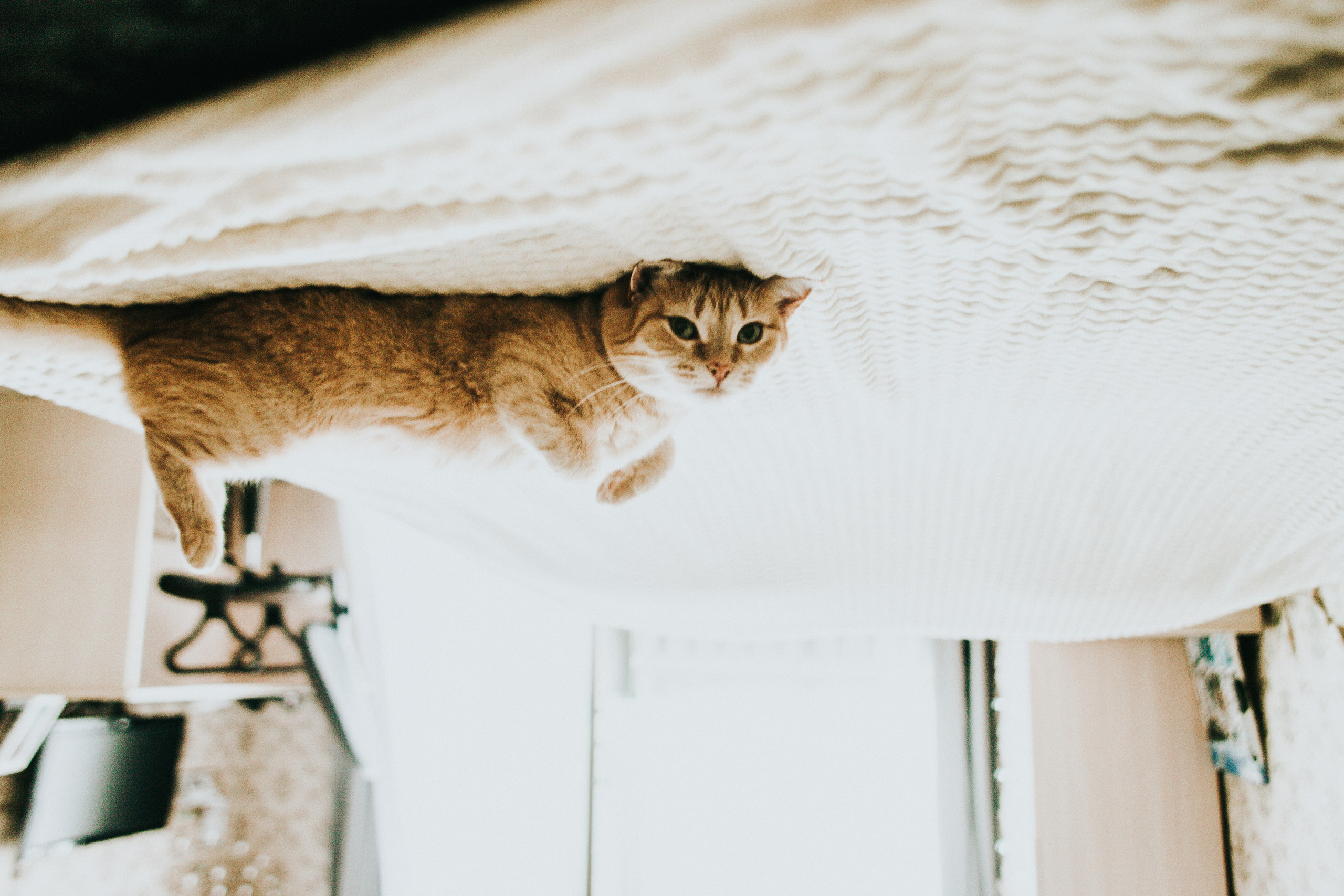 А+ А. Домашний вайб. Фотограф в Нижнем Новгороде