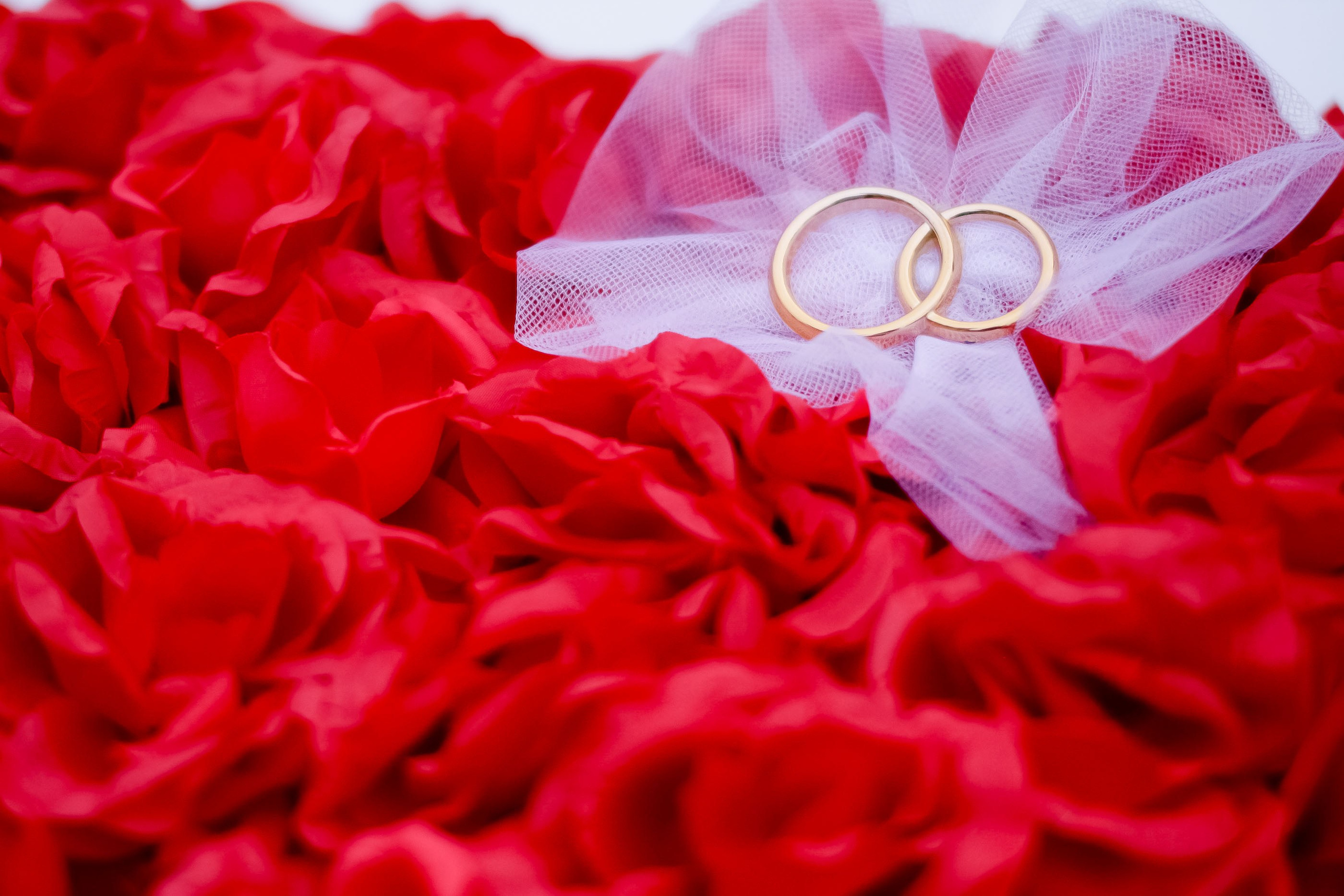 Утро/Morning. Максим Матвийченко и Виктория Басова профессионалы своего дела