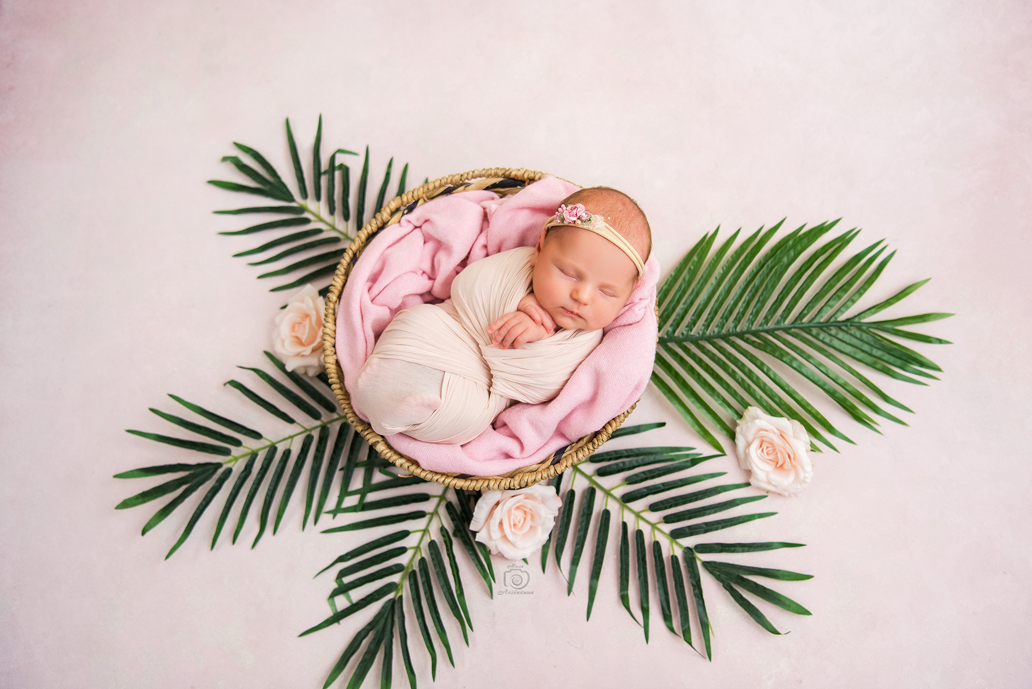 Портфолио новорожденных. Фотограф в Нефтеюганске Мила Аксёнкина