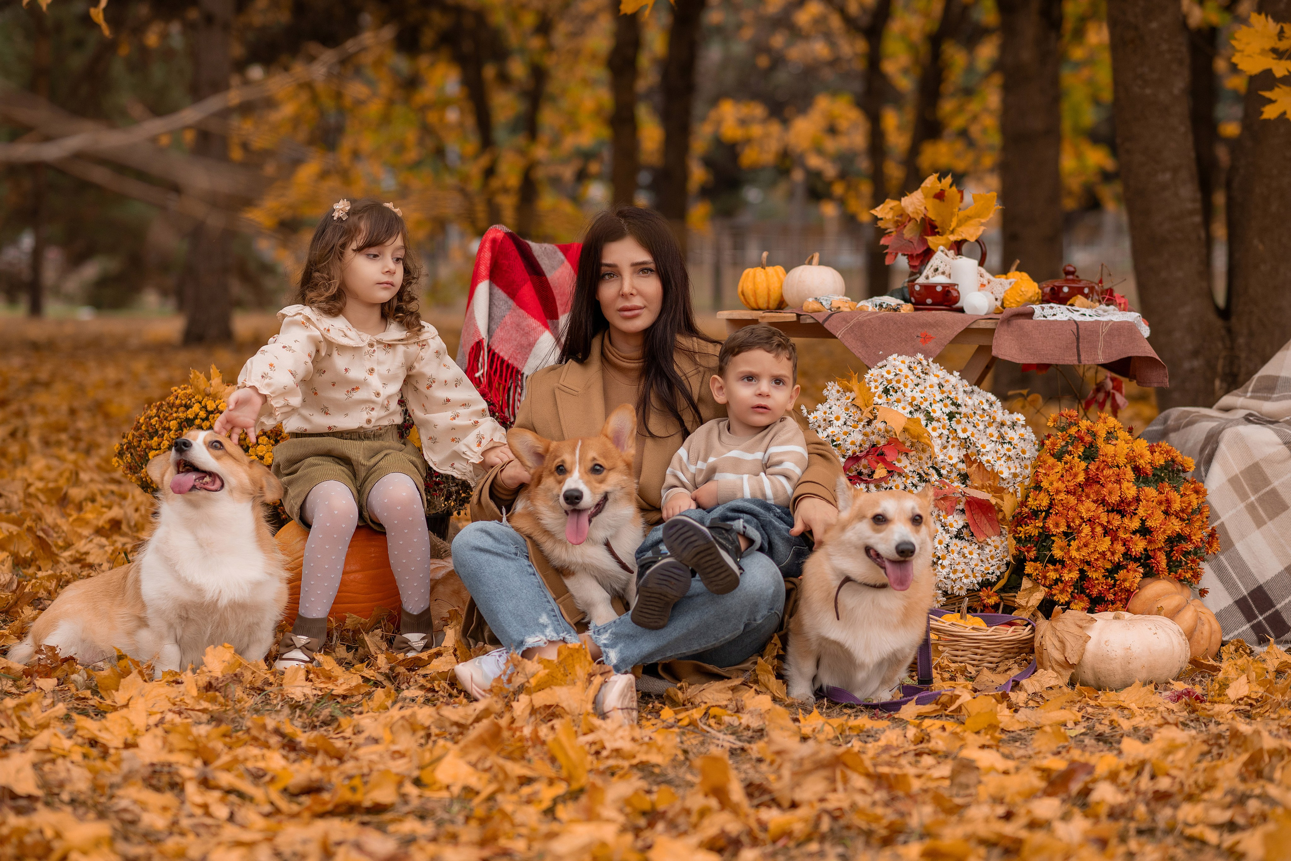 Осенний фотодень. Семейный фотограф в Краснодаре