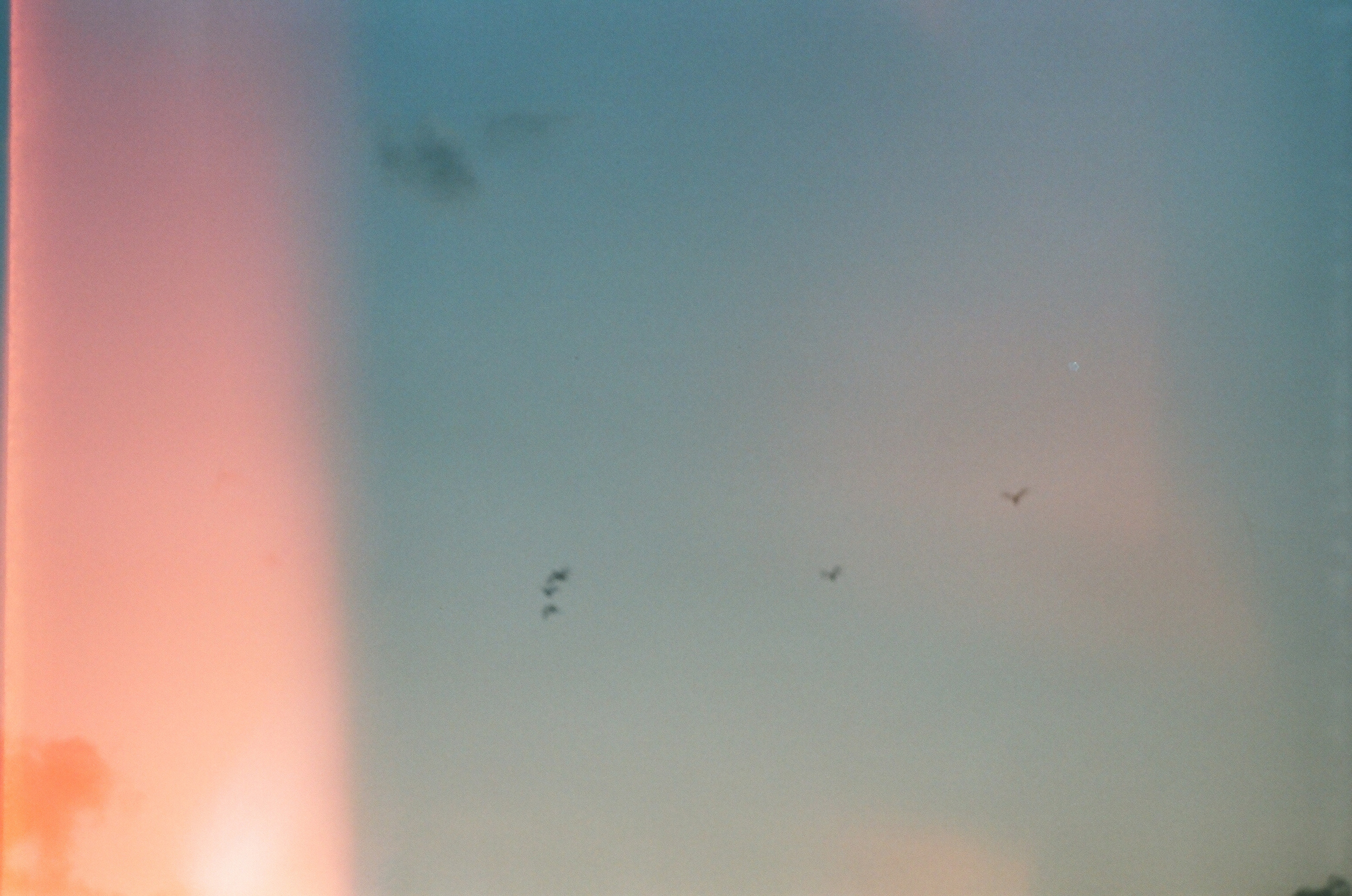 Контакты. Фотограф в Санкт-Петербурге Арина Назарова| arexava