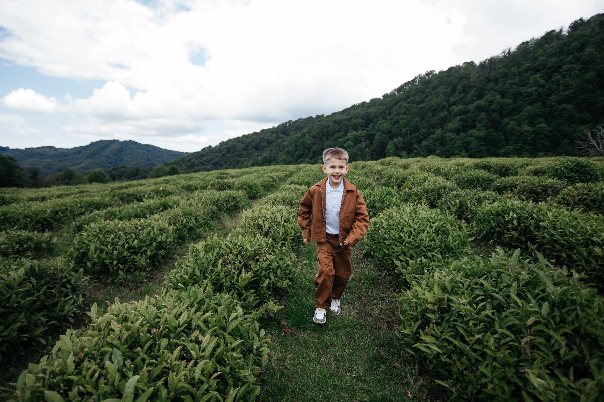 Tea plantation. Efimova Model Agency