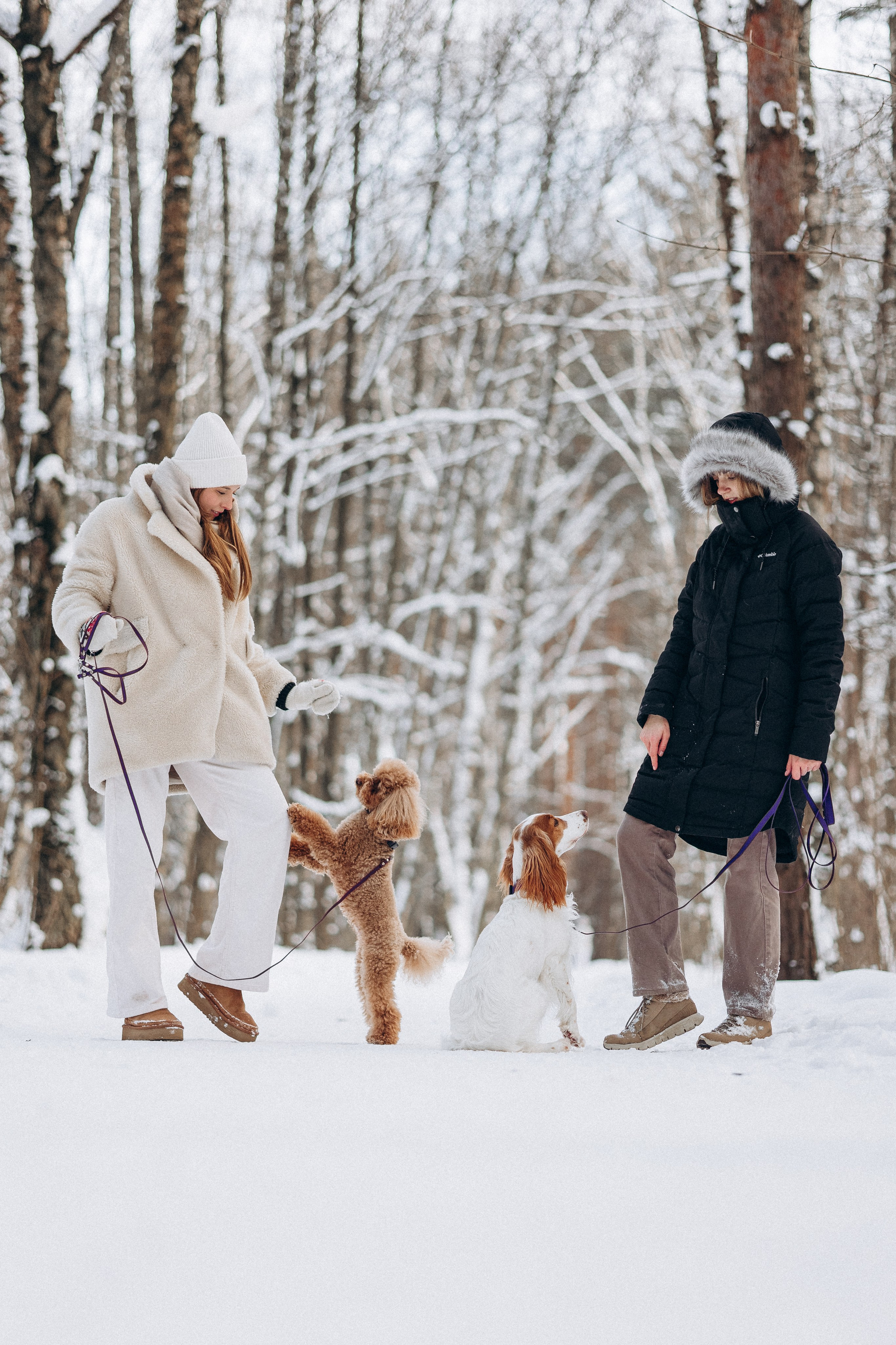 Амуниция «Бобик» 2. Фотораф — анималист Мария Шистка