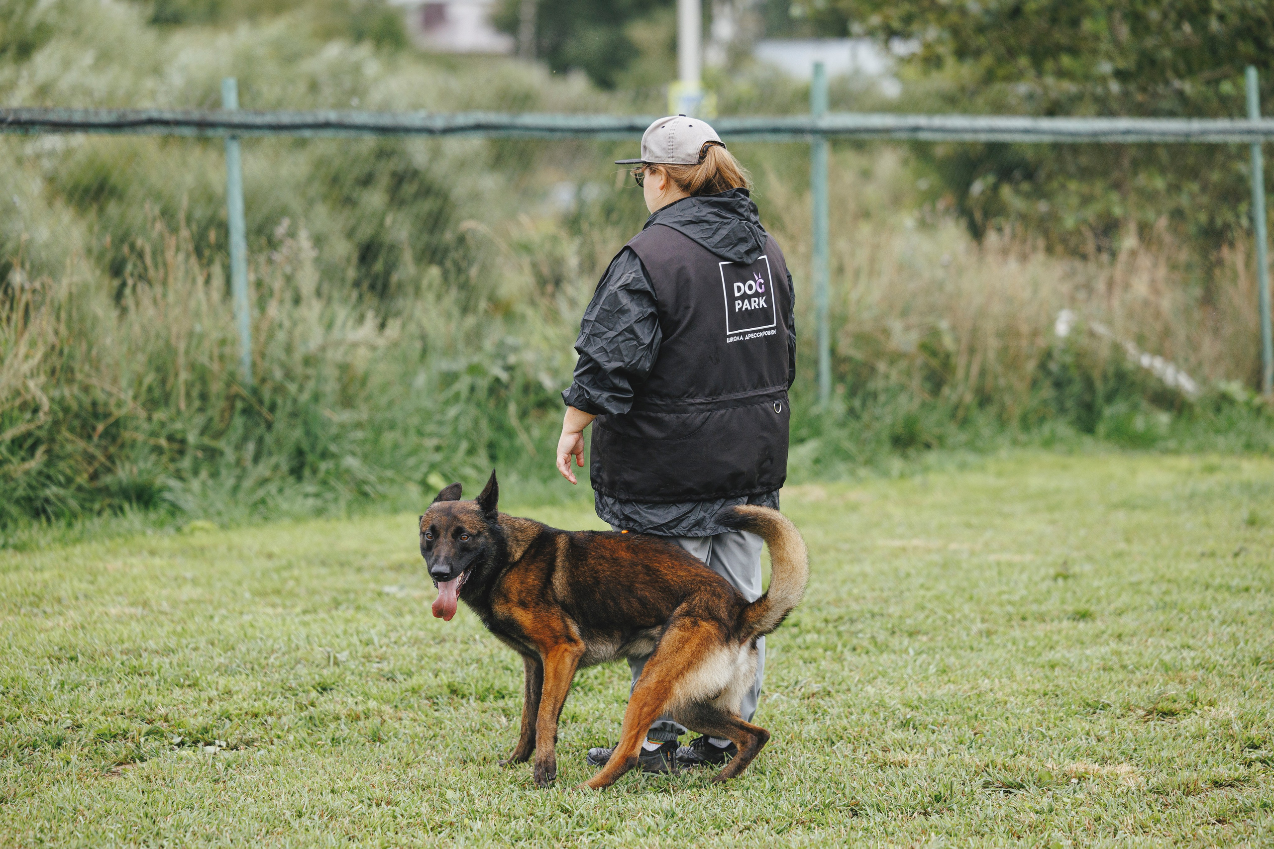 08.08.25-10.08.25 ЧР по мондьорингу г. Вологда. Фотограф-анималист Анна Маринич
