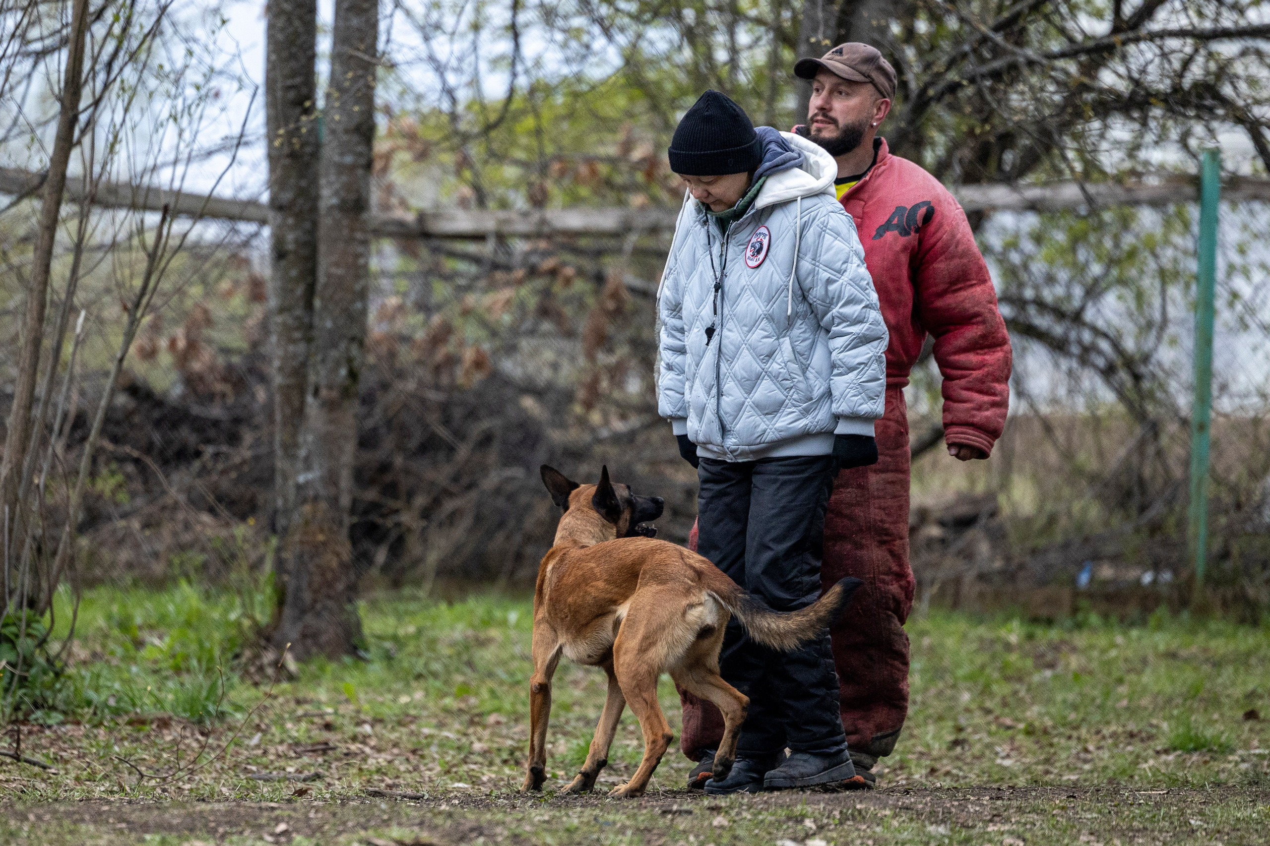 Квалификационные состязания по мондьорингу г. Вологда 11.05.24. Фотограф-анималист Анна Маринич