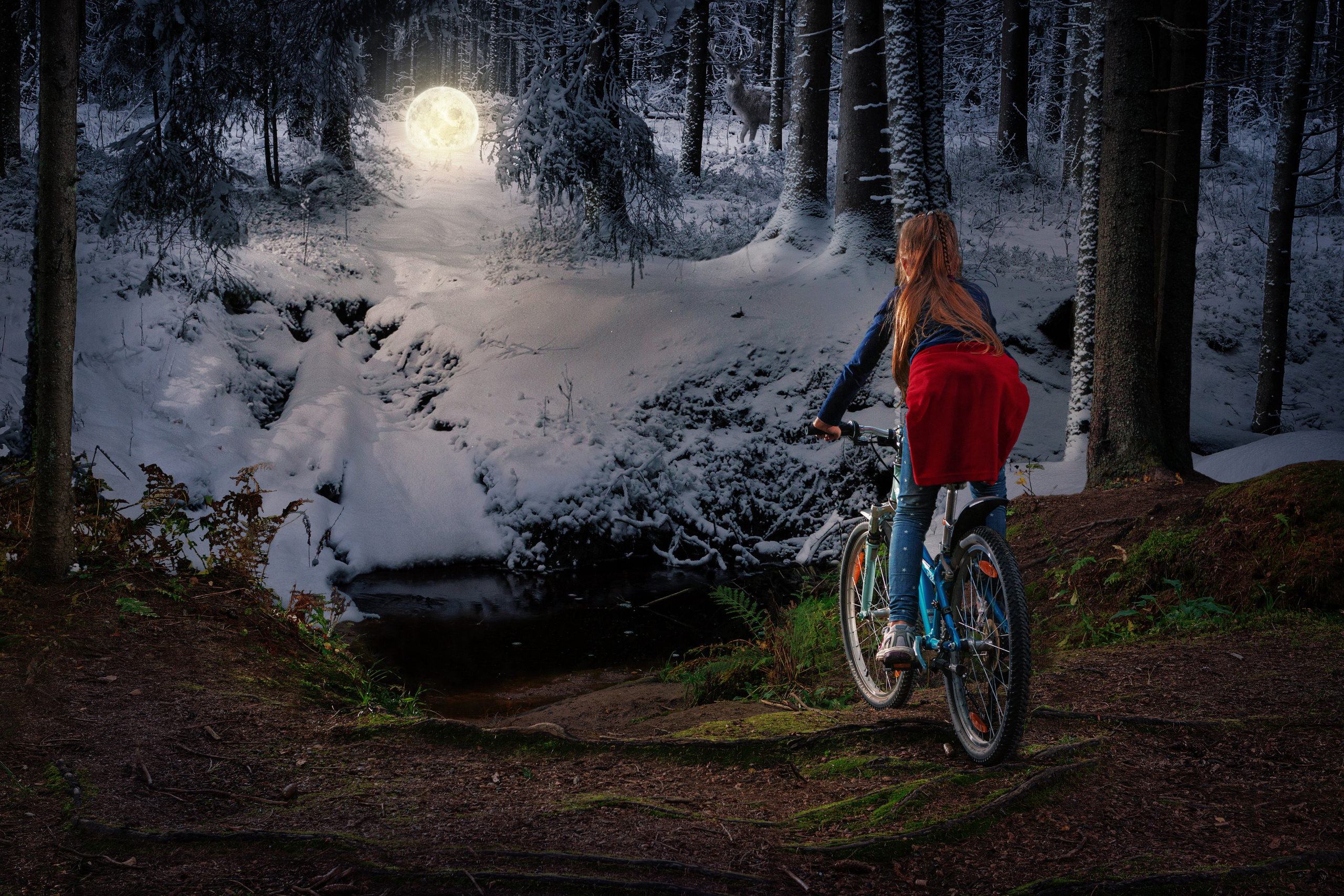 Игорь Третьяков фотограф Санкт-Петербург