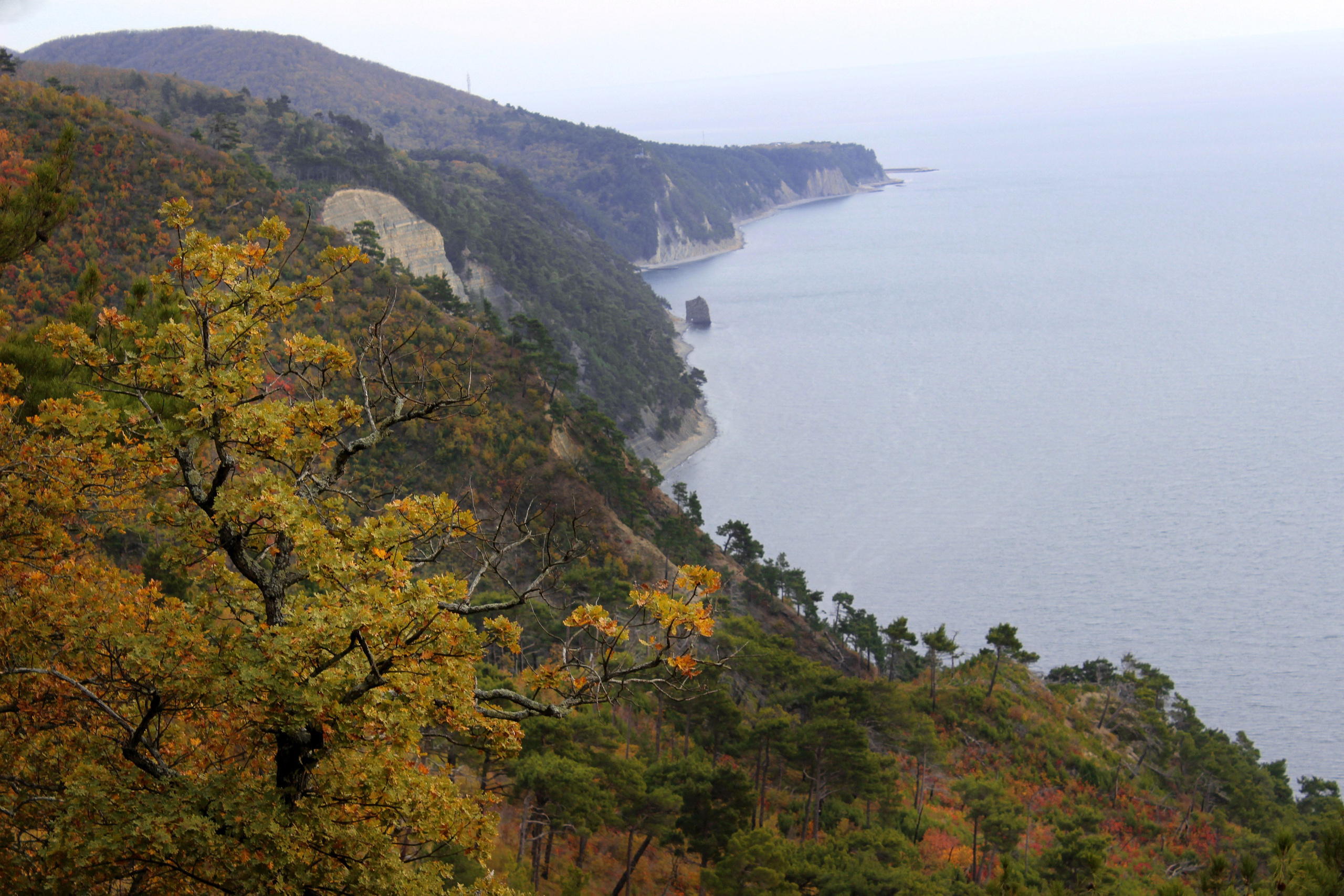 Коммерческая съемка. Семейный и детский фотограф Виктория Умаева