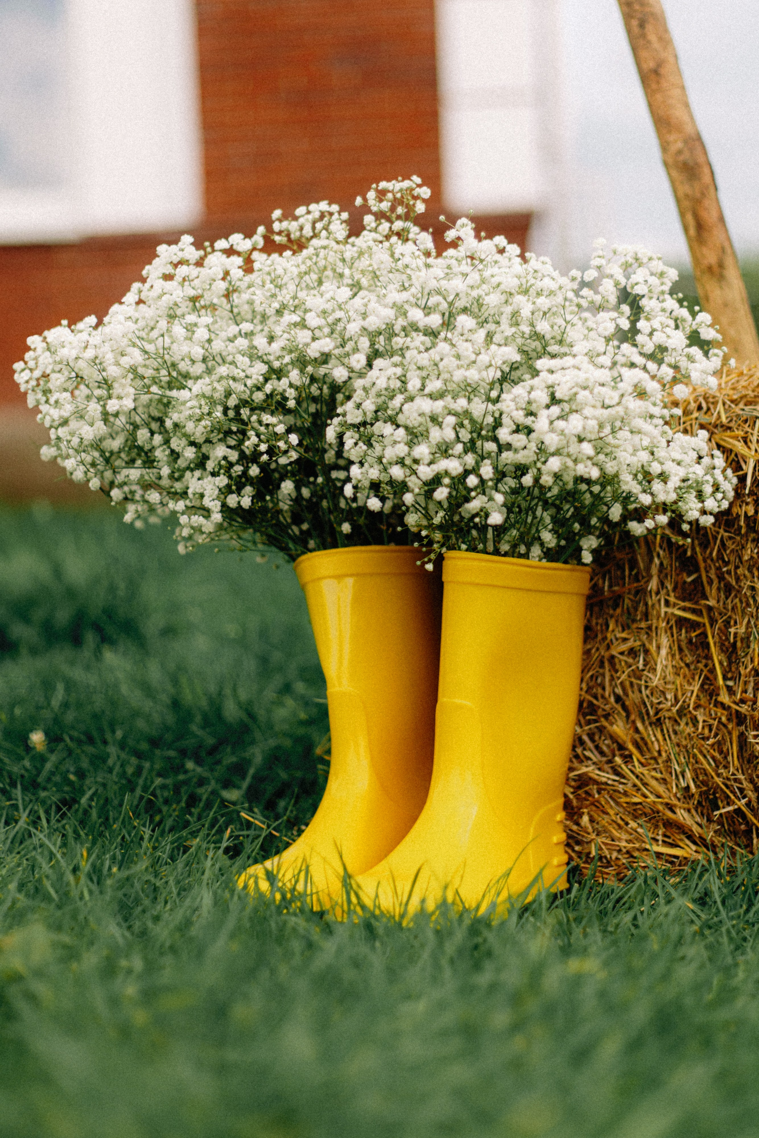 ПРО ДРУГА ДЕТСТВА