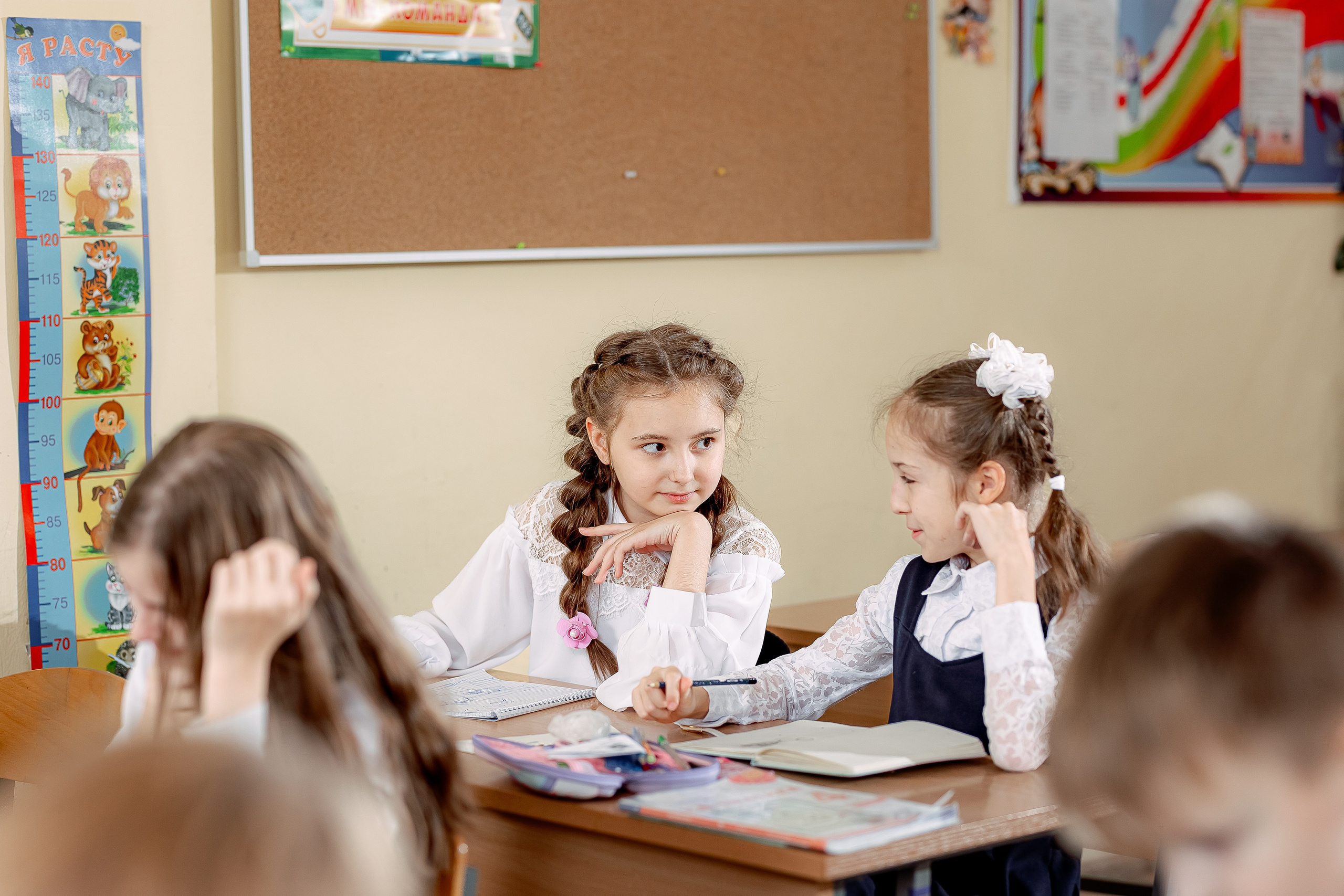 Репортаж на уроках. Семейный и детский фотограф Комина Елена, Власиха, Одинцово