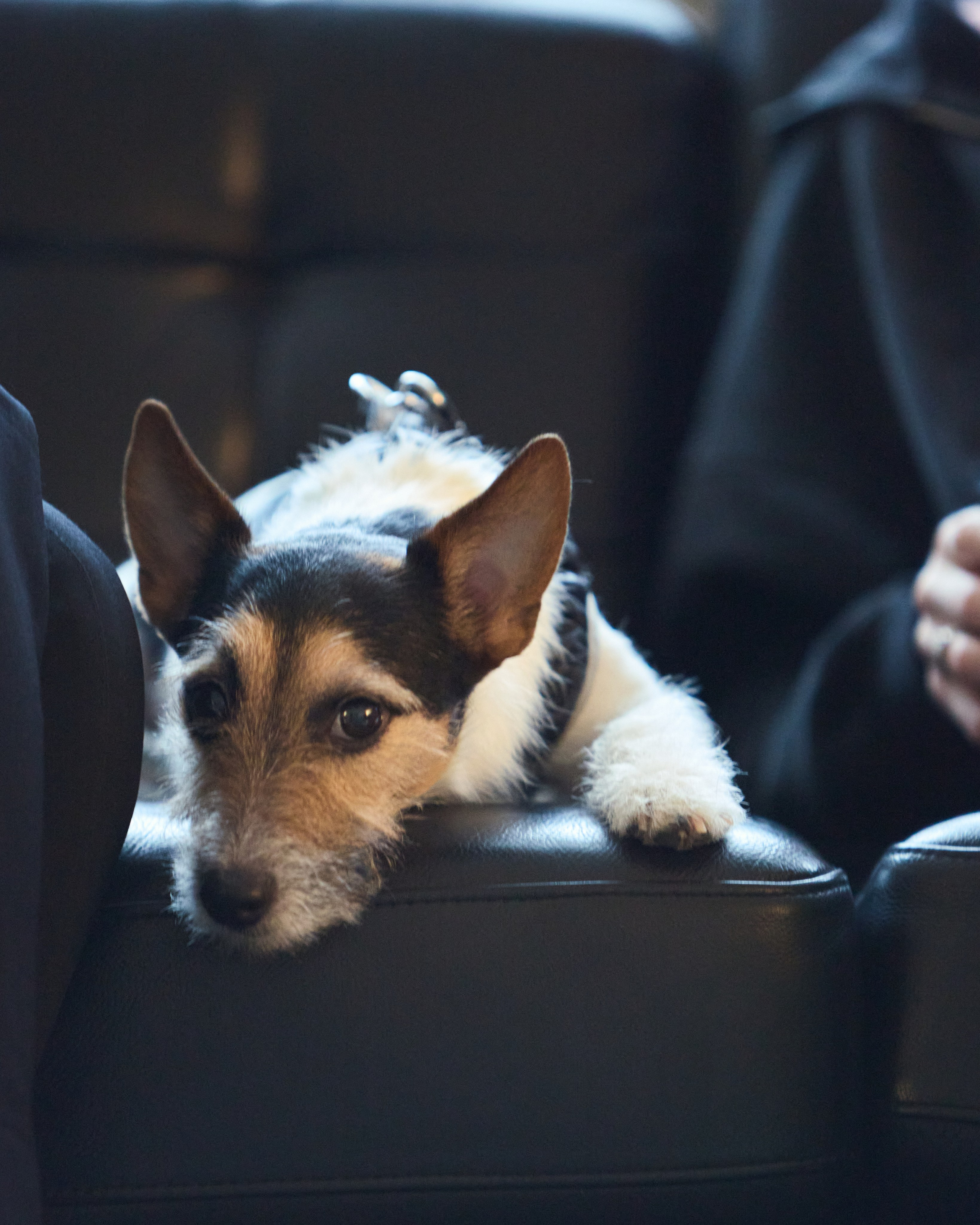 Репортаж. Главная