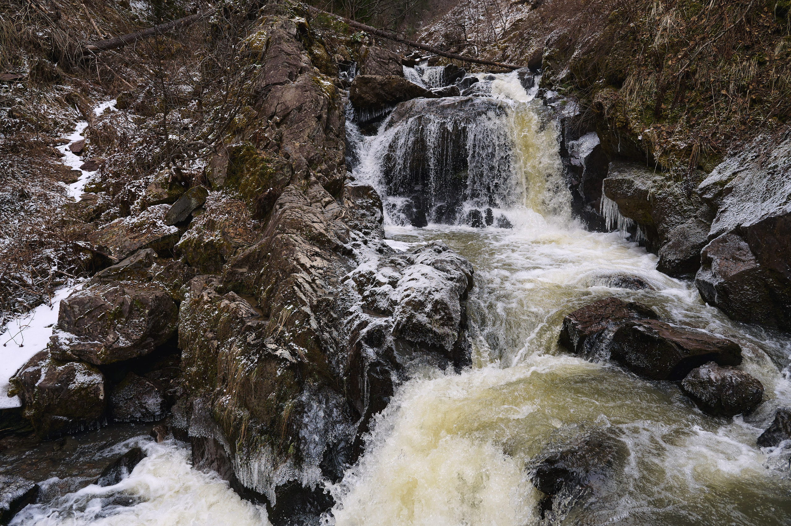 Антон и Наталья. Фотограф Опыт Качество Скорость Горный Алтай Барнаул