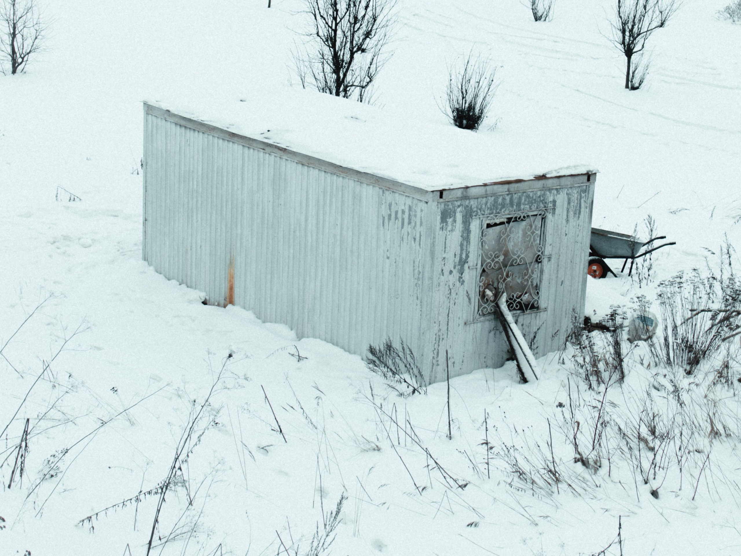 Маршрут ветеранов — электросила. Анна Мильч