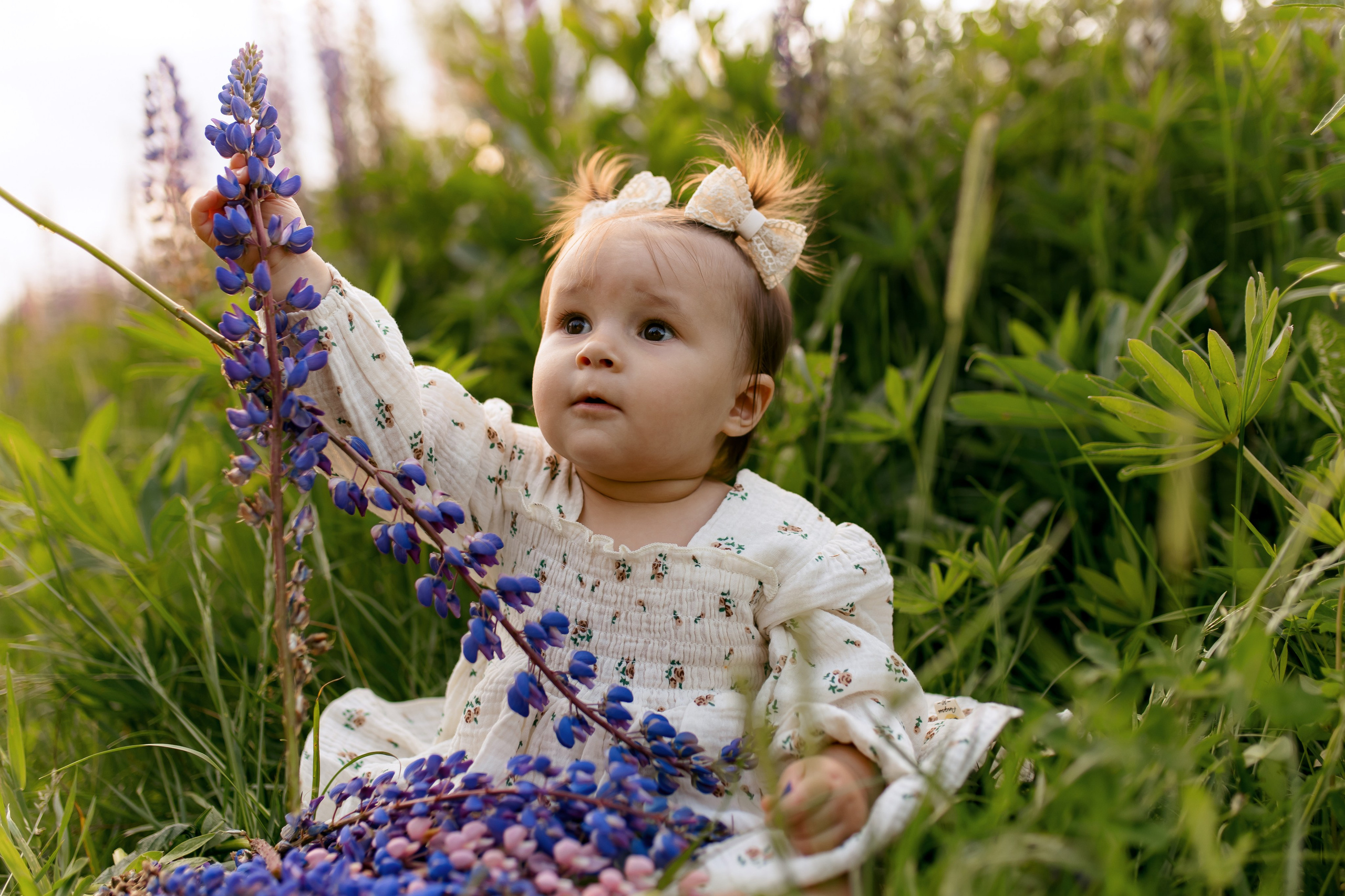 В люпинах. Свадебный и семейный фотограф в Туле и области Маша Костина